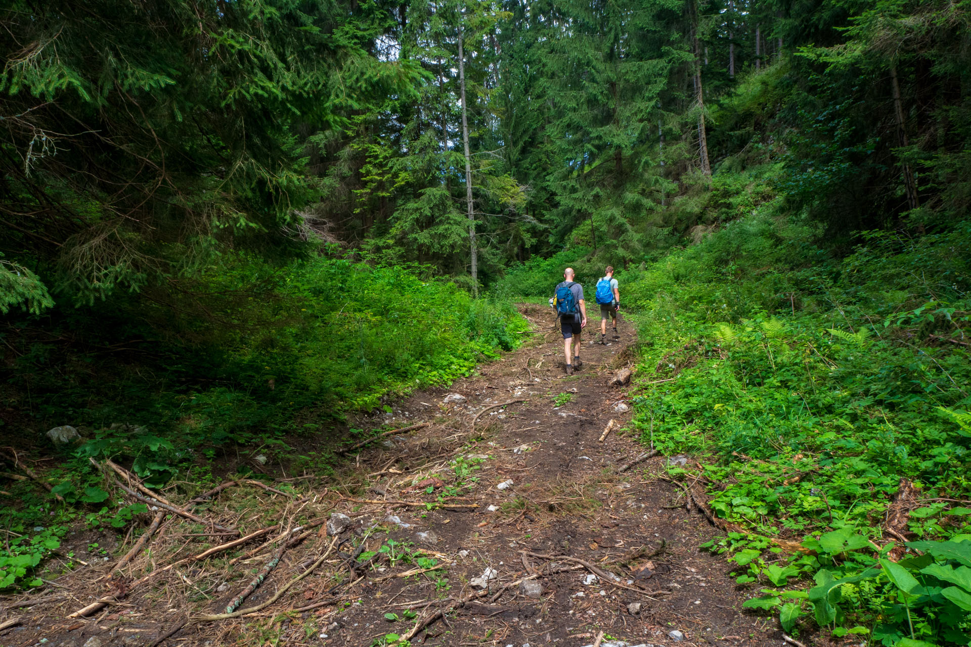 Poludnica zo Závažnej Poruby (Nízke Tatry)