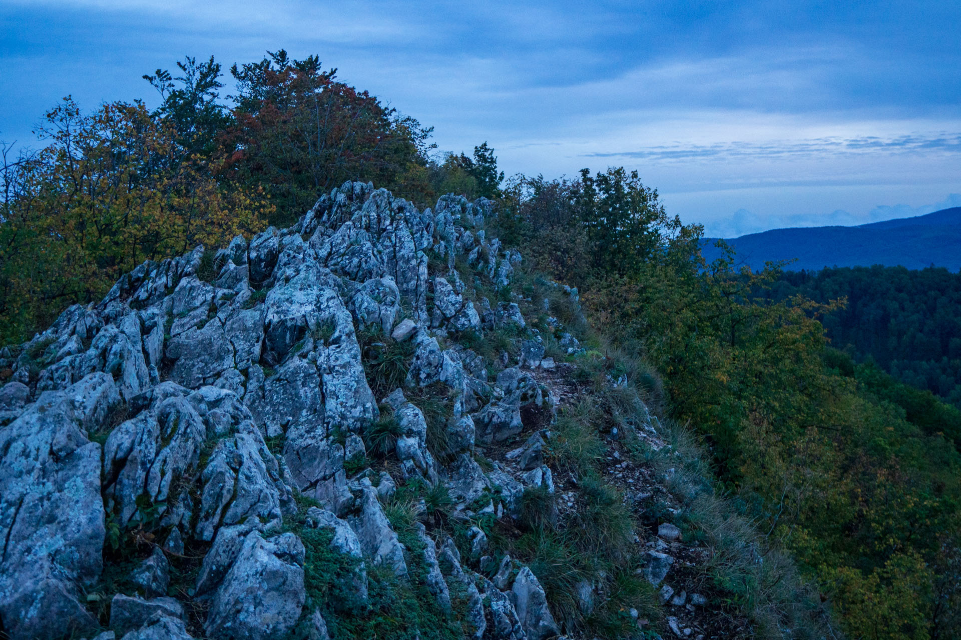 Sivec od Ružína (Čierna hora)