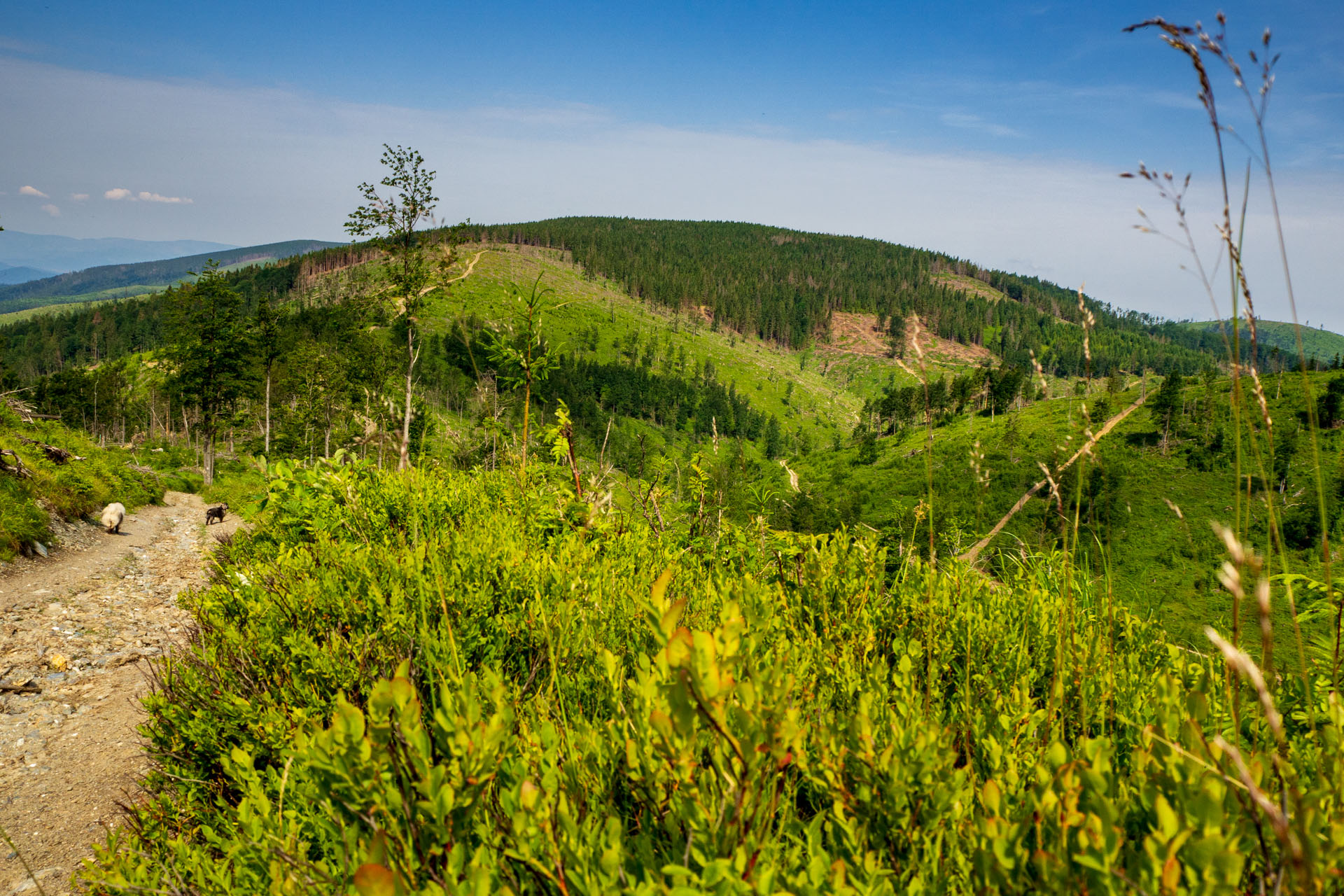 Skalisko z Uhornianskeho sedla (Volovské vrchy)