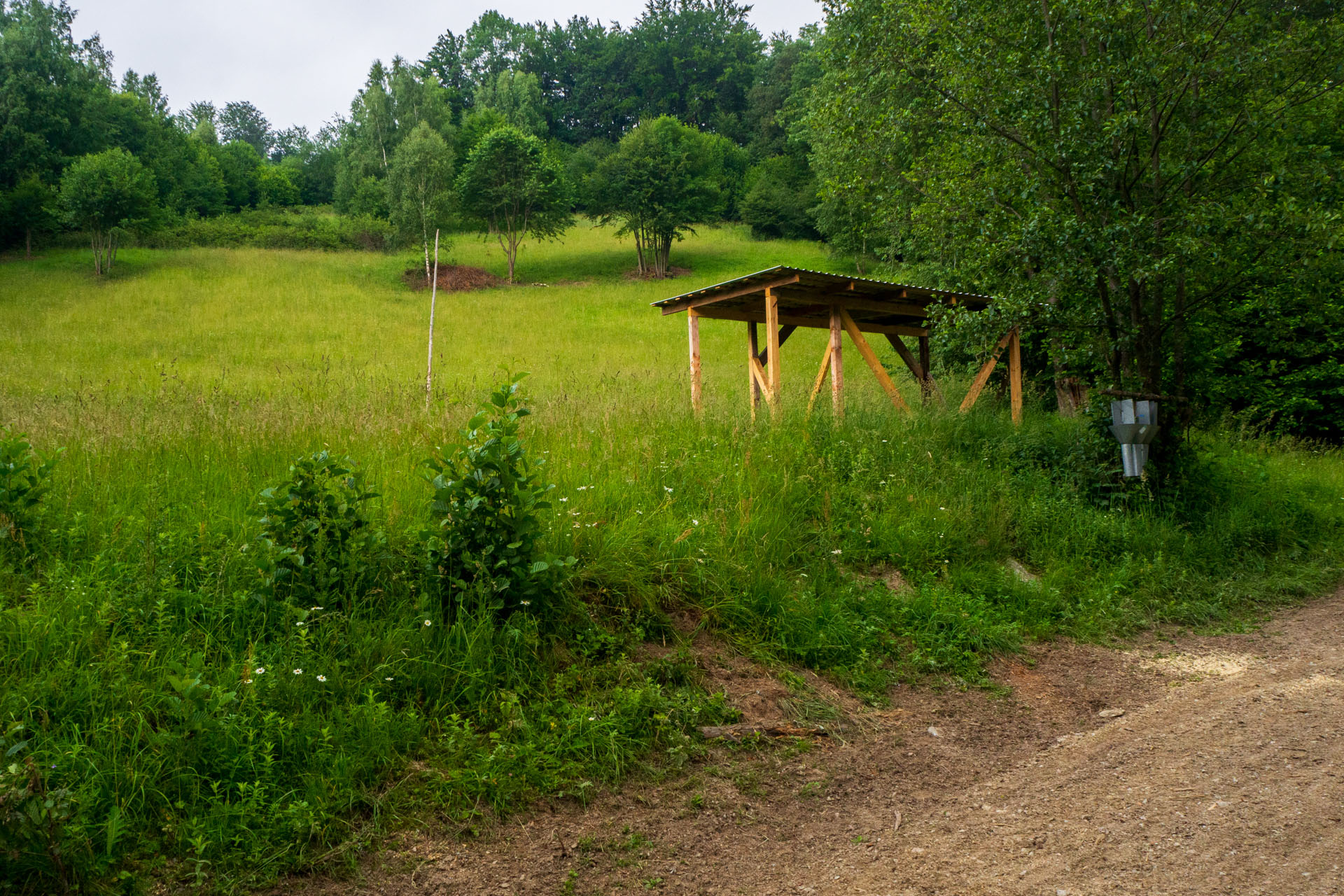 Skalisko z Uhornianskeho sedla (Volovské vrchy)