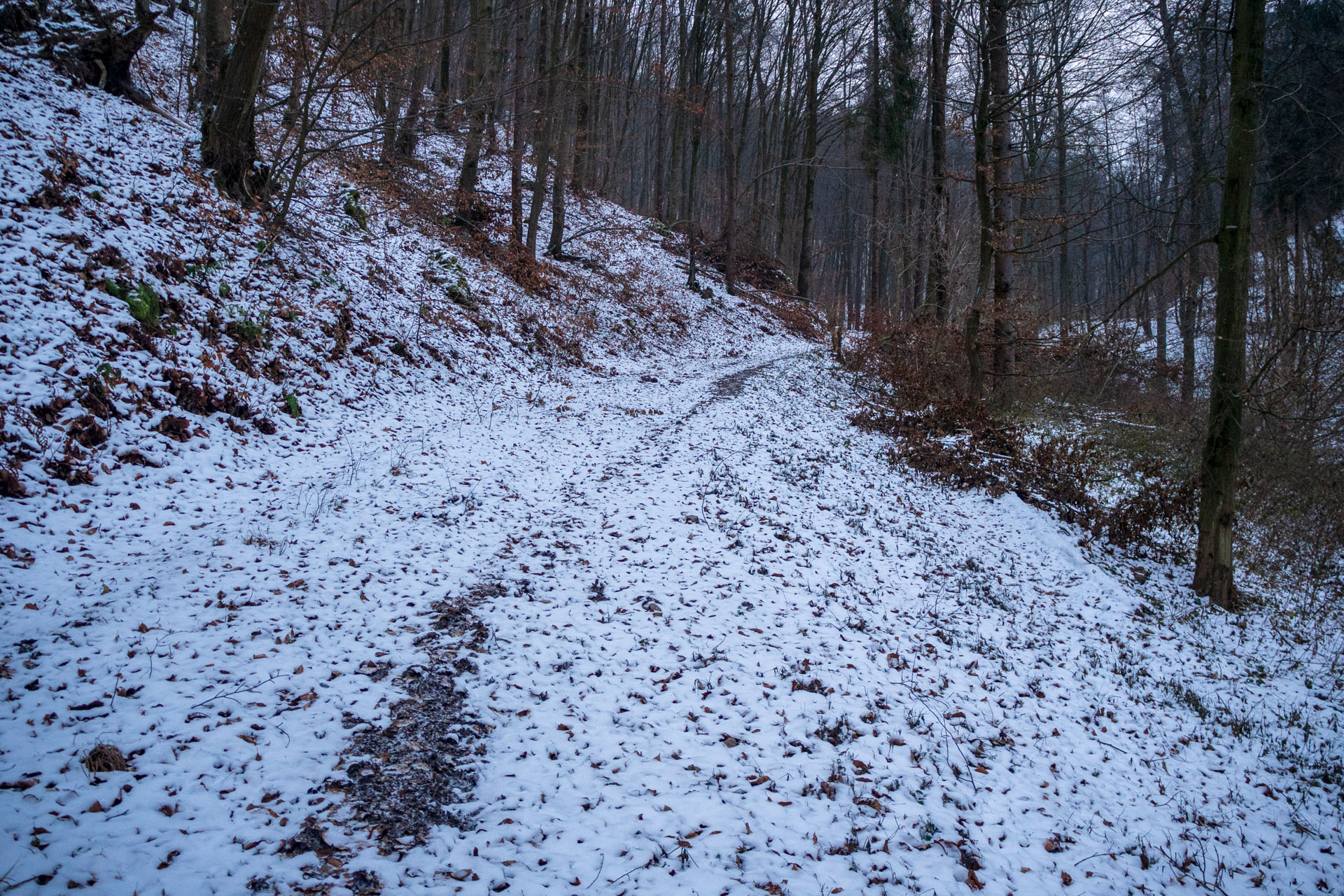 Skalka z Ruských Peklian (Čierna hora)