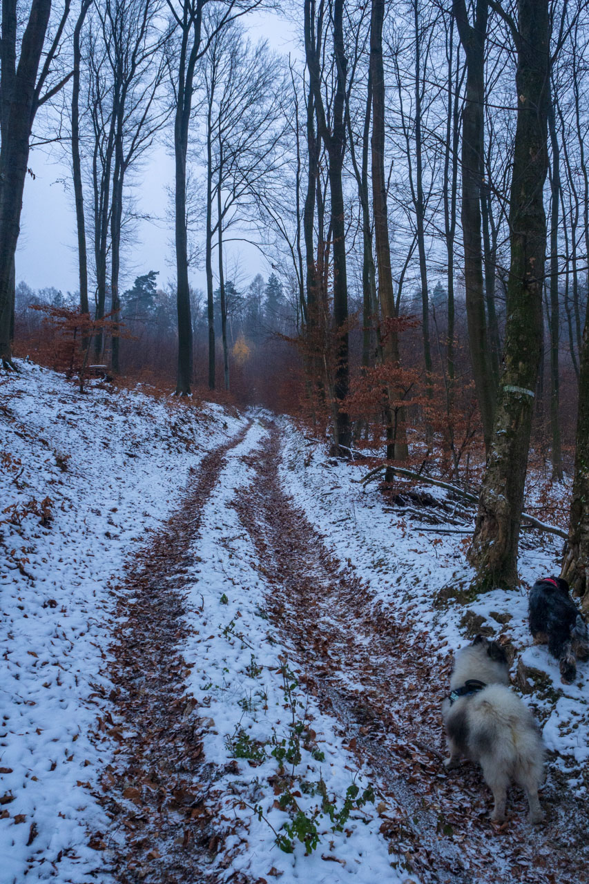 Skalka z Ruských Peklian (Čierna hora)