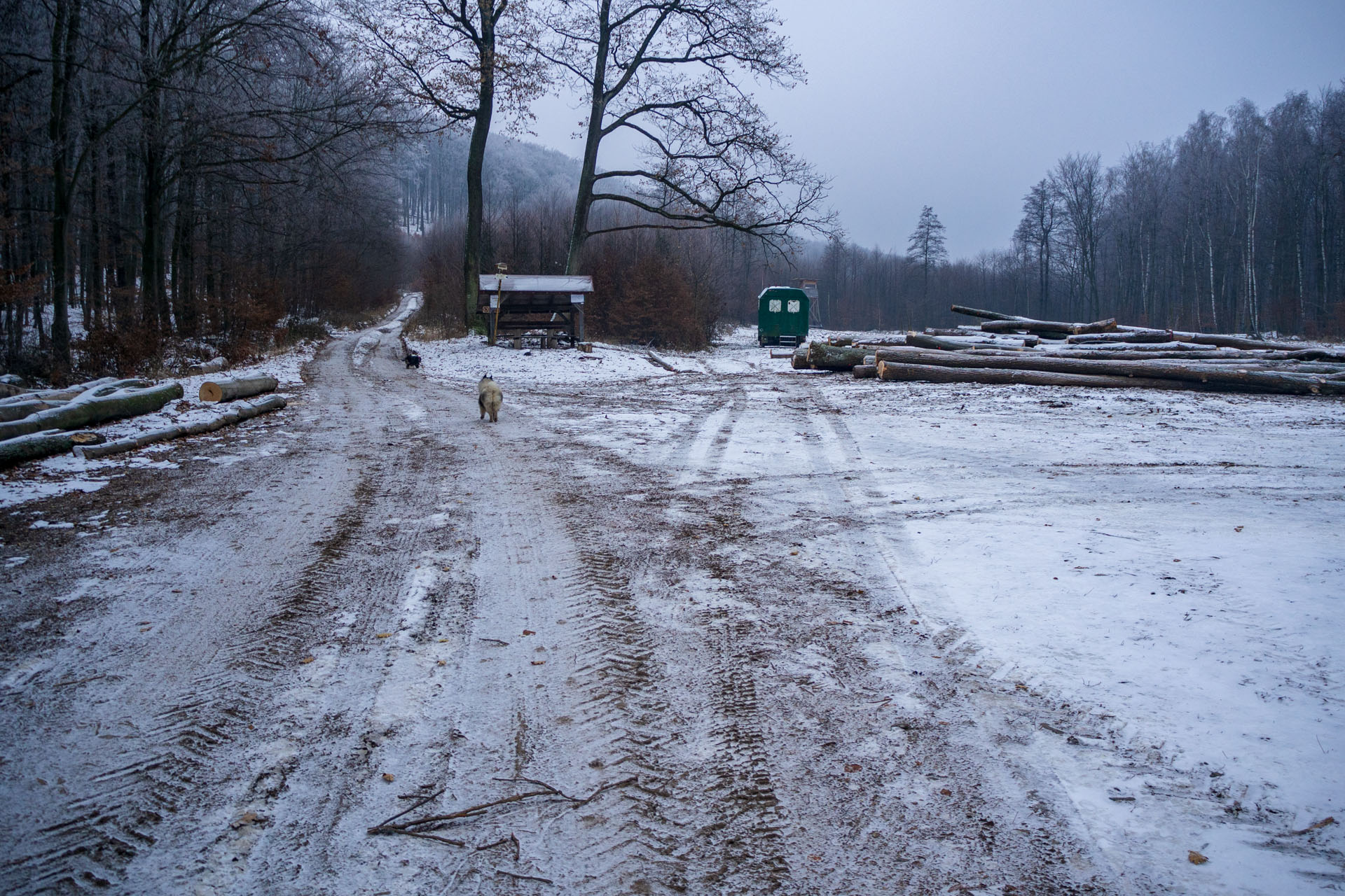 Skalka z Ruských Peklian (Čierna hora)