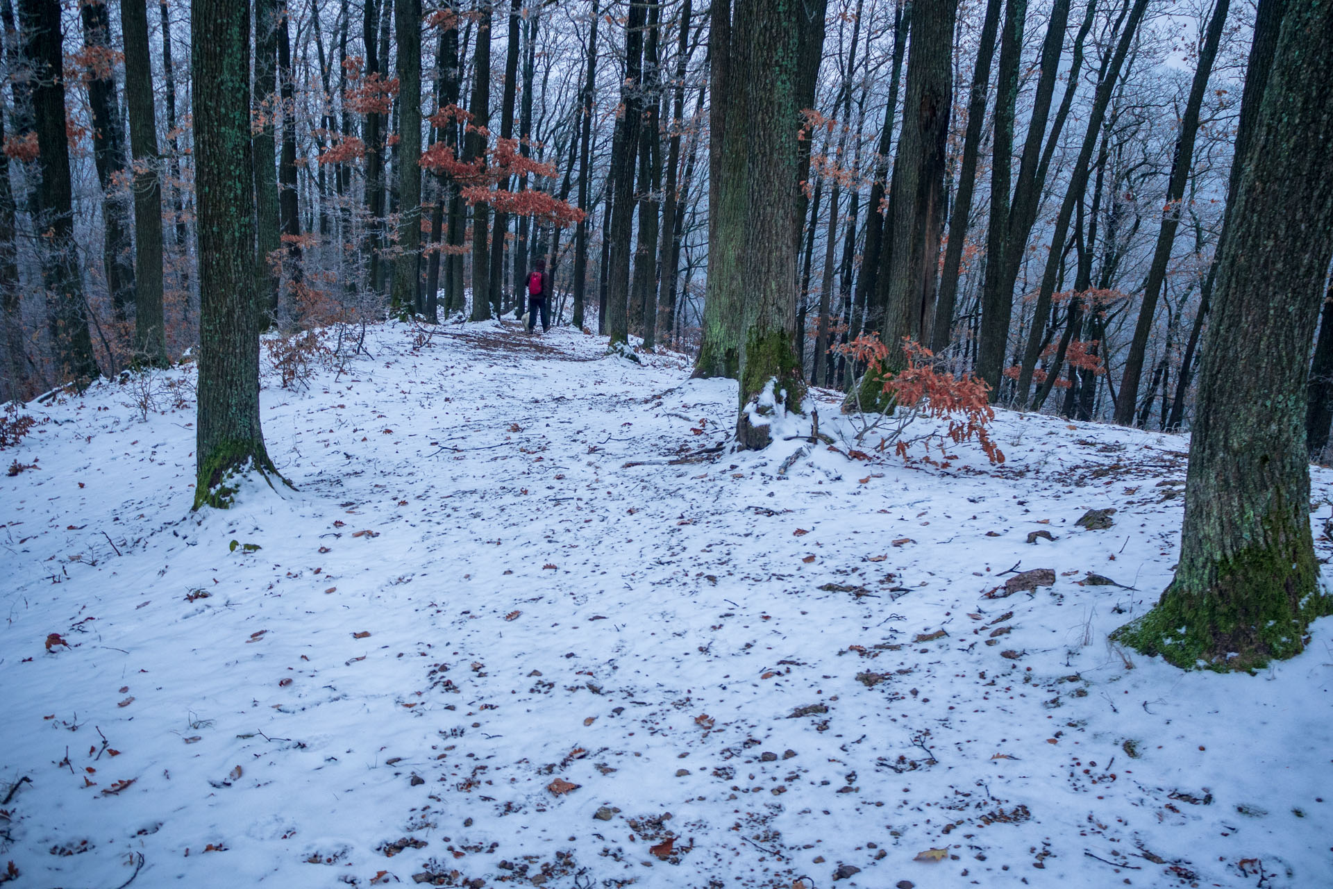 Skalka z Ruských Peklian (Čierna hora)