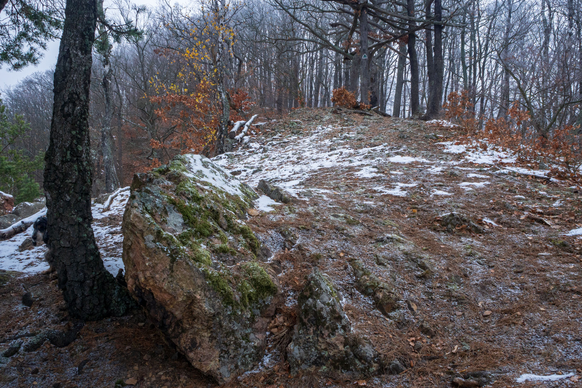 Skalka z Ruských Peklian (Čierna hora)