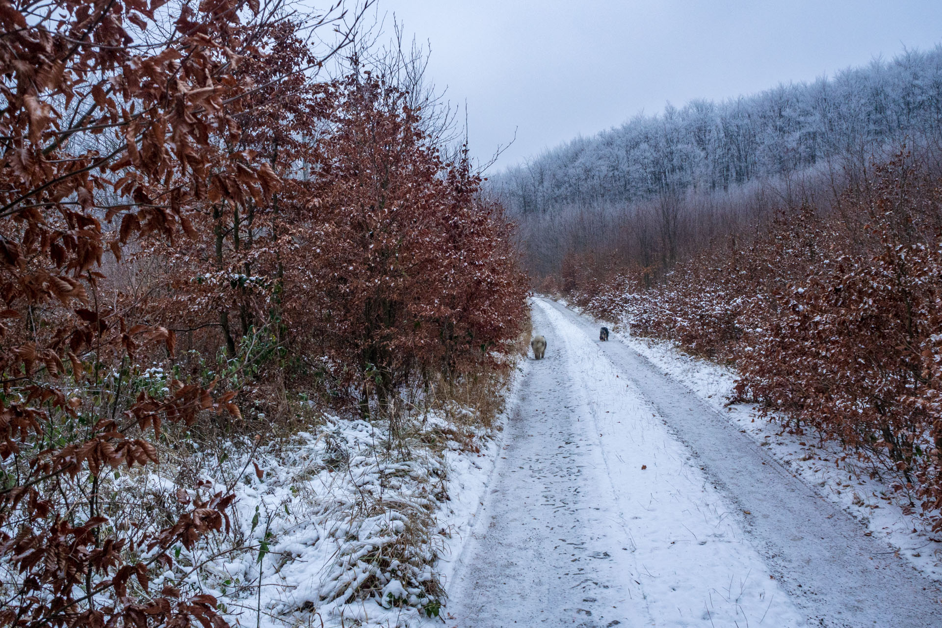 Skalka z Ruských Peklian (Čierna hora)