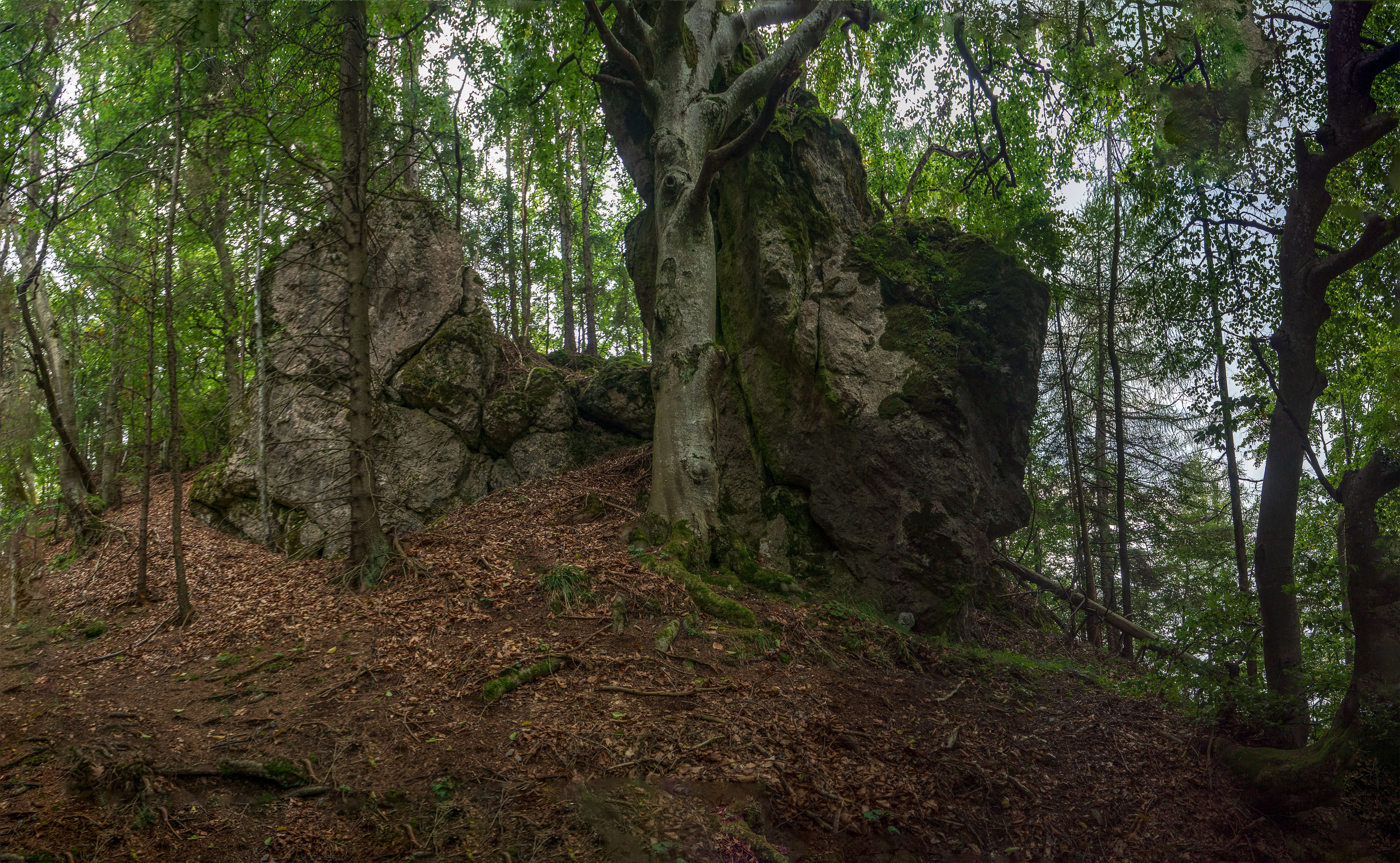 Sľubica z Braniska s nocľahom (Pufo is Eleven) (Branisko a Bachureň)