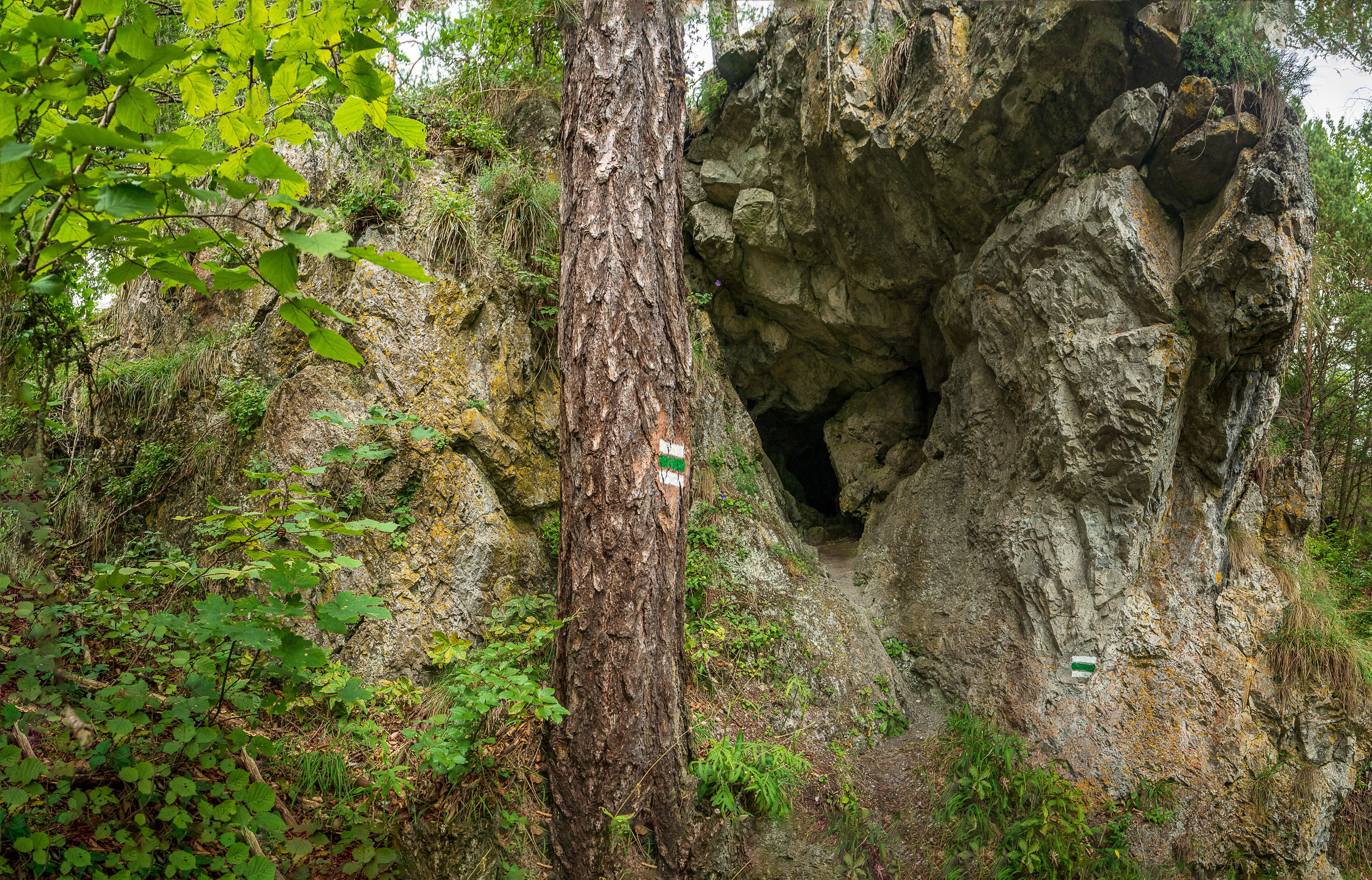 Sľubica z Braniska s nocľahom (Pufo is Eleven) (Branisko a Bachureň)