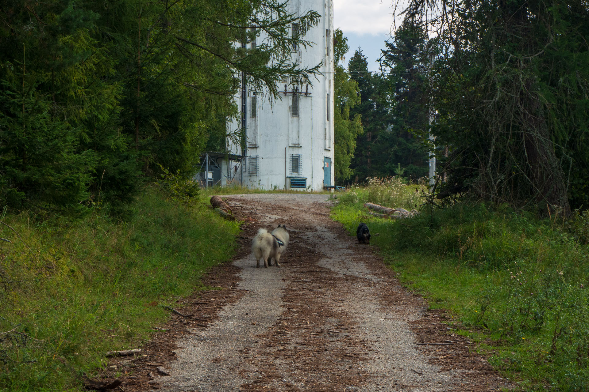 Sľubica z Braniska s nocľahom (Pufo is Eleven) (Branisko a Bachureň)