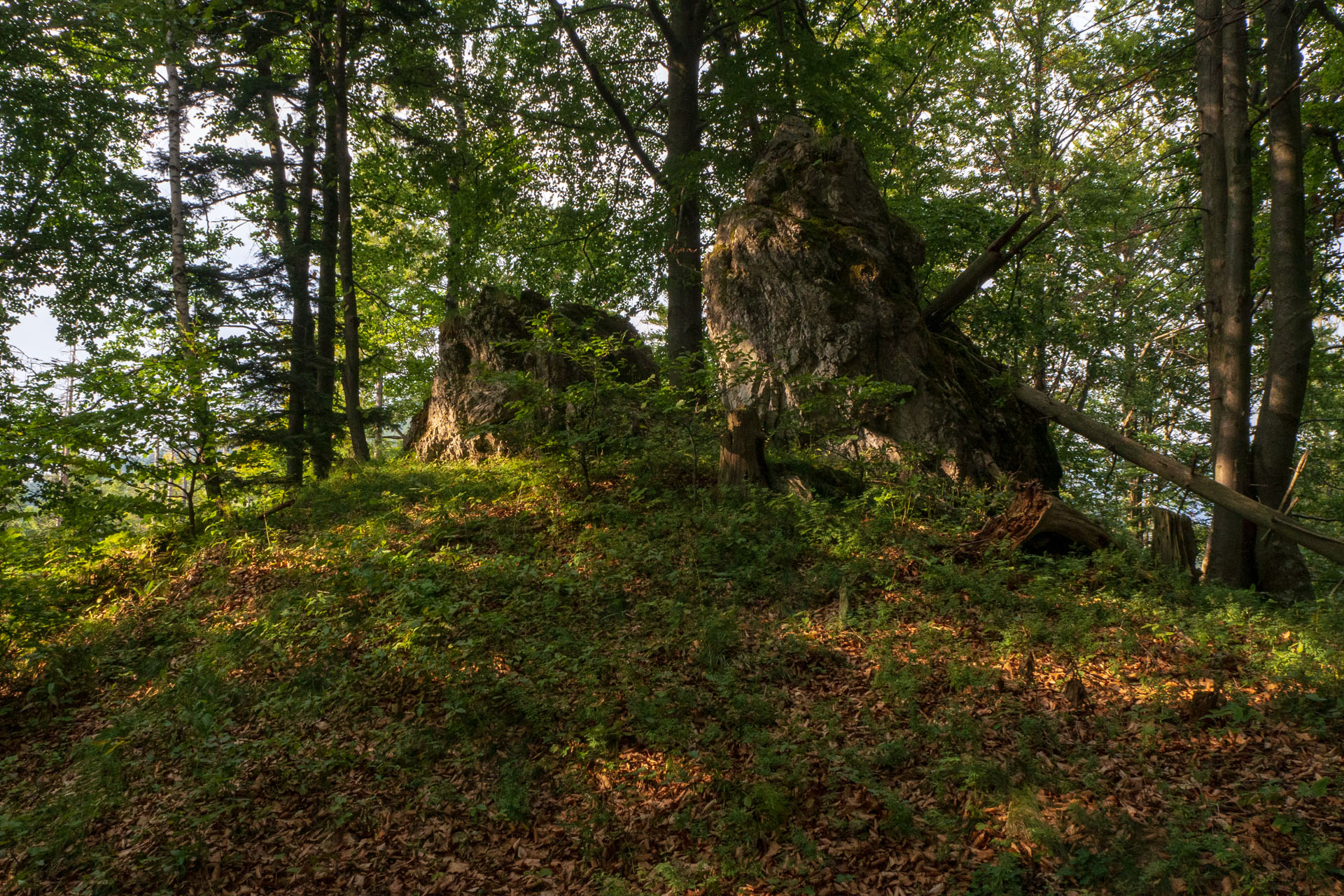 Sľubica z Braniska s nocľahom (Pufo is Eleven) (Branisko a Bachureň)