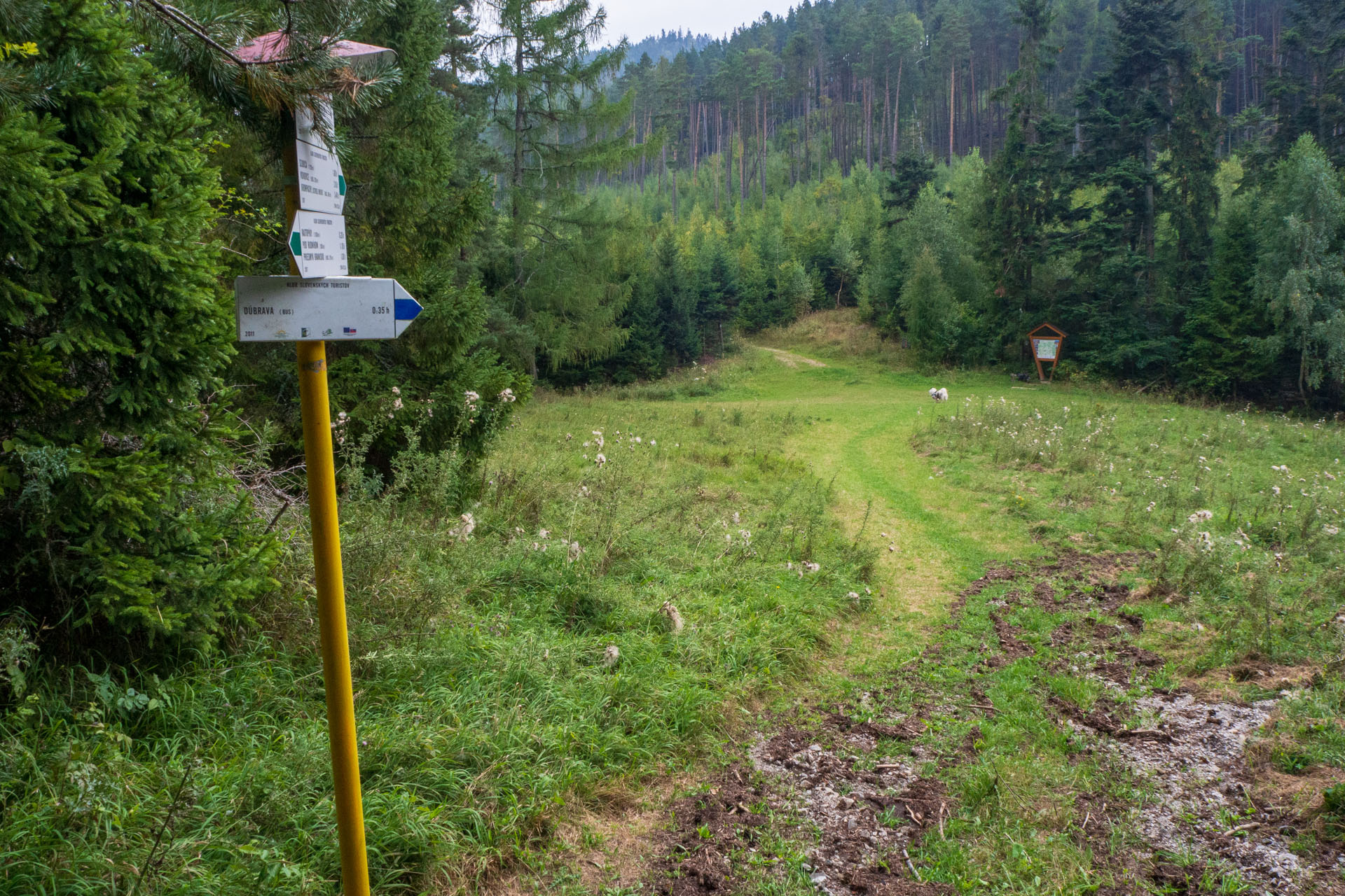 Sľubica z Braniska s nocľahom (Pufo is Eleven) (Branisko a Bachureň)