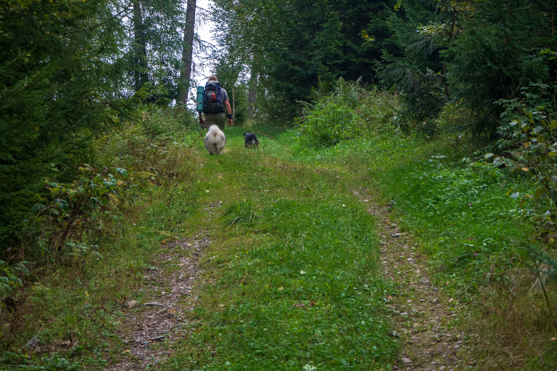 Sľubica z Braniska s nocľahom (Pufo is Eleven) (Branisko a Bachureň)