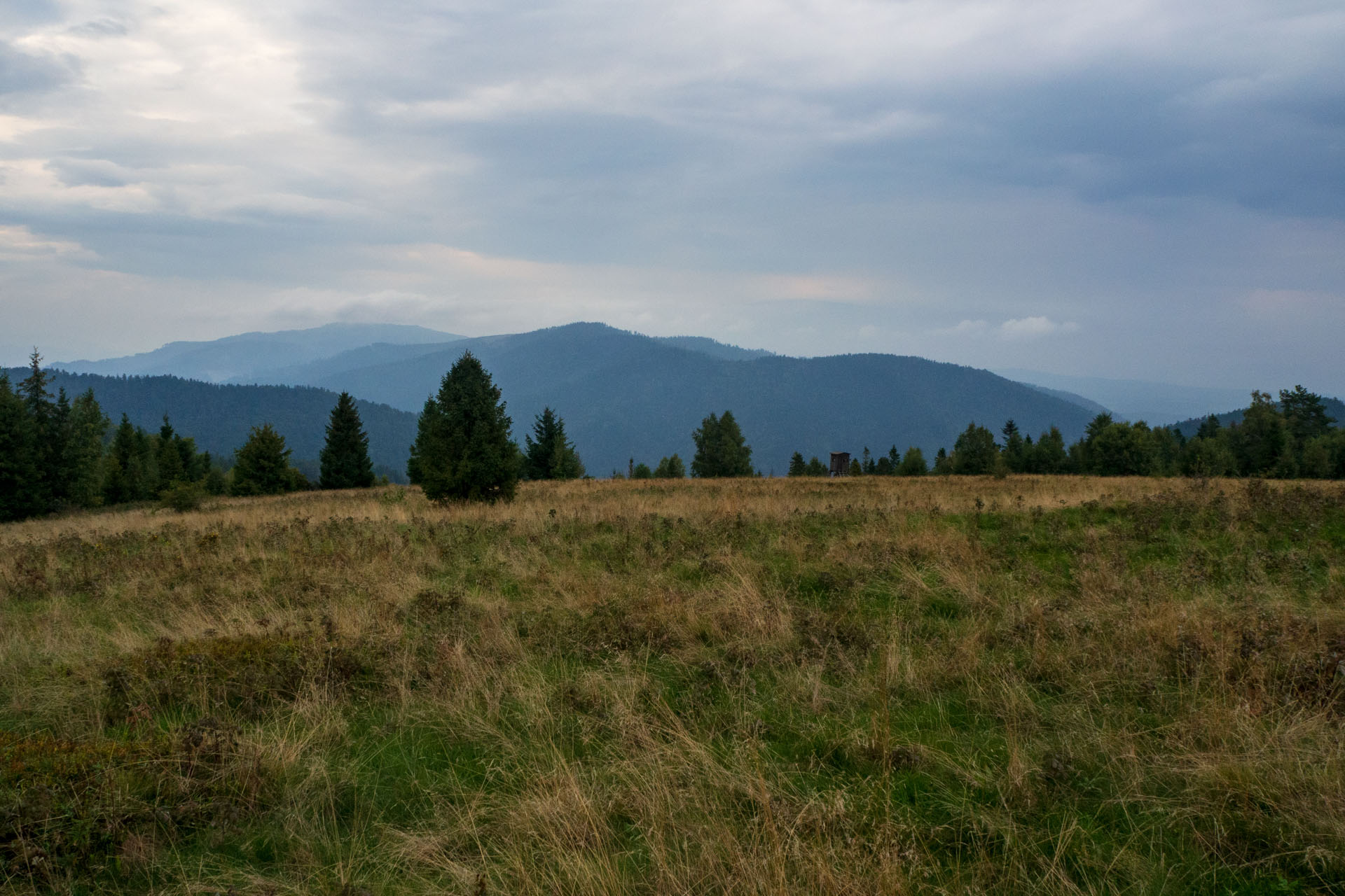 Sľubica z Braniska s nocľahom (Pufo is Eleven) (Branisko a Bachureň)