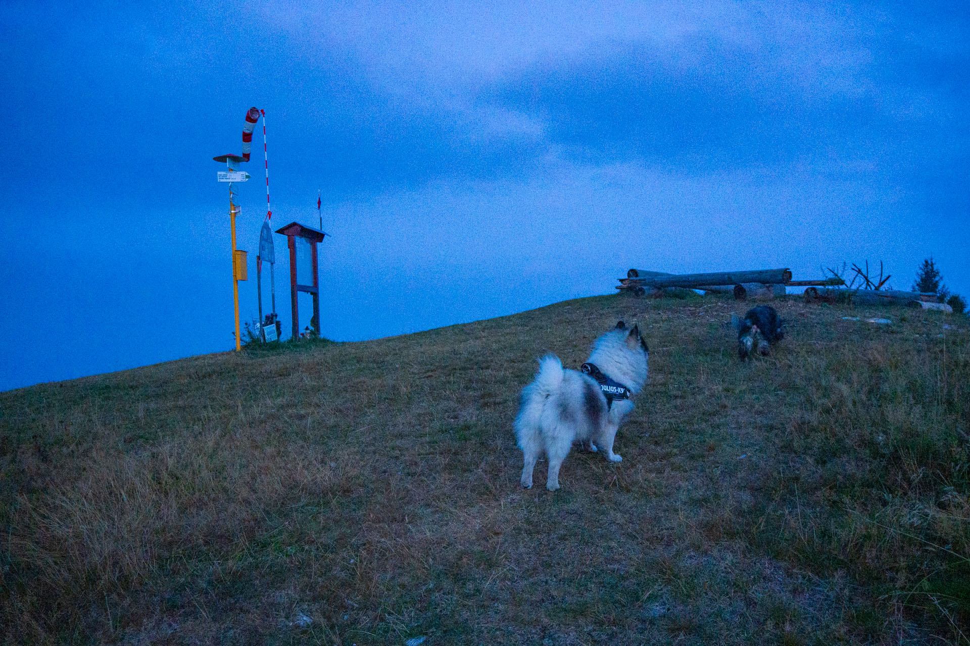 Sľubica z Braniska s nocľahom (Pufo is Eleven) (Branisko a Bachureň)