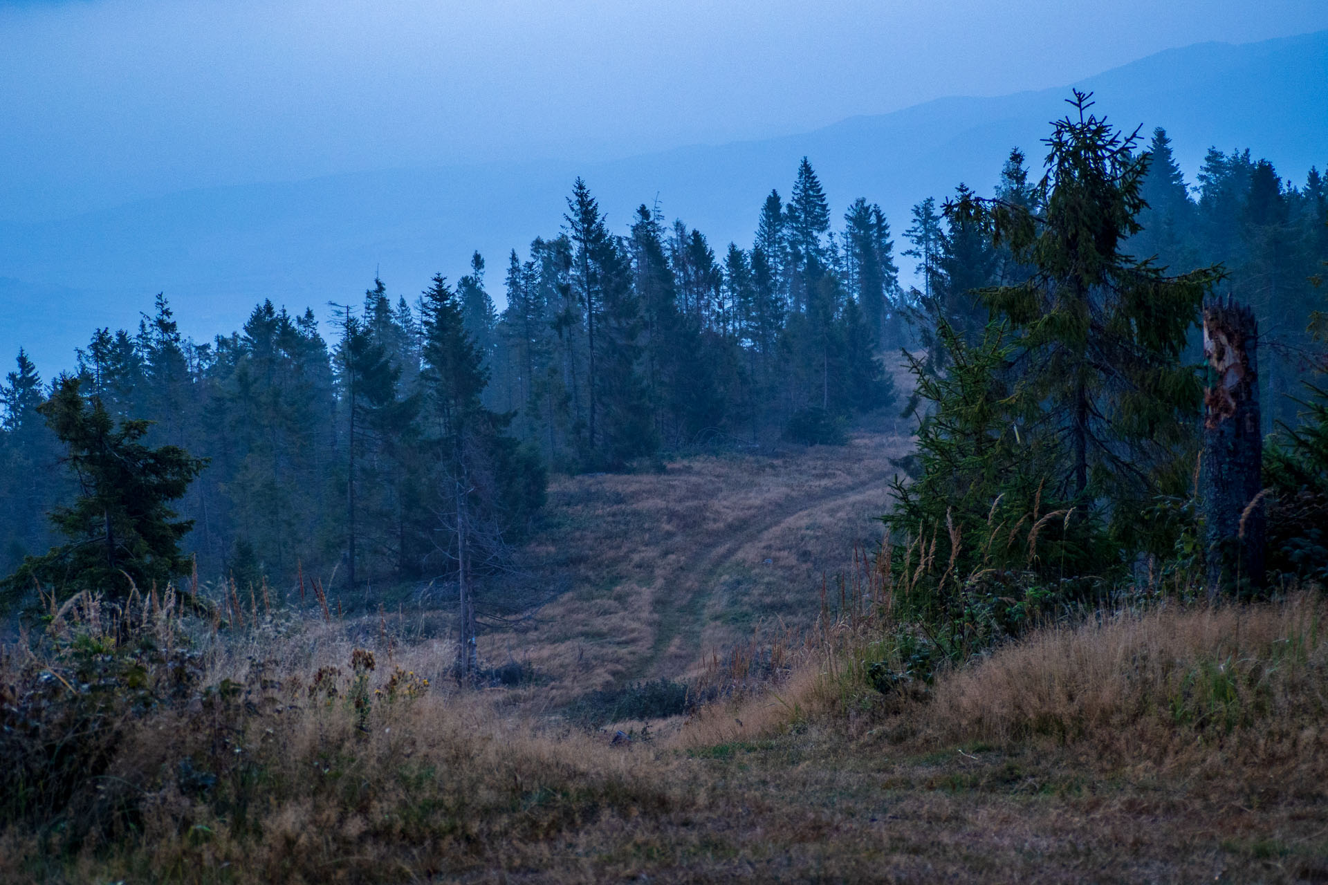 Sľubica z Braniska s nocľahom (Pufo is Eleven) (Branisko a Bachureň)