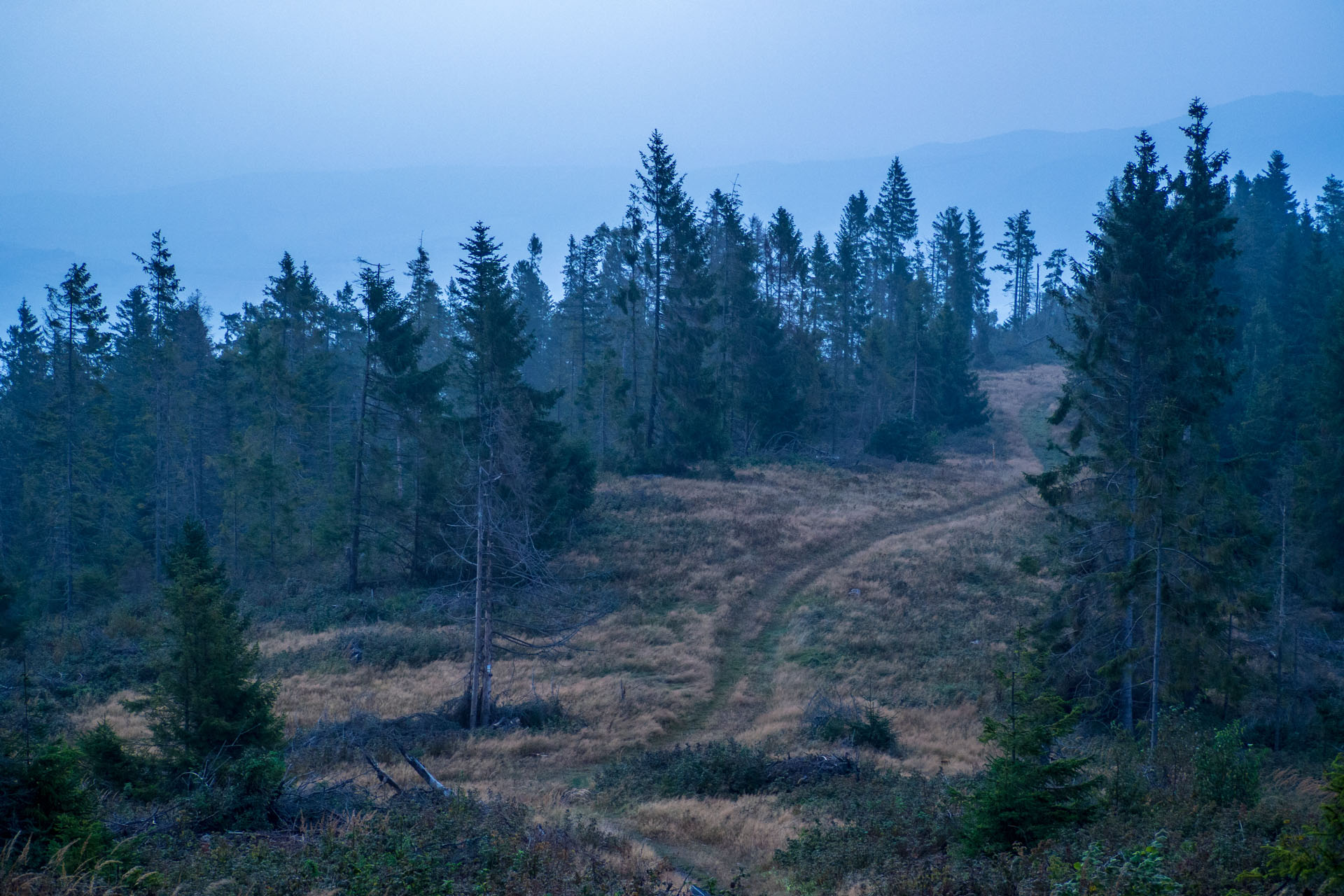 Sľubica z Braniska s nocľahom (Pufo is Eleven) (Branisko a Bachureň)