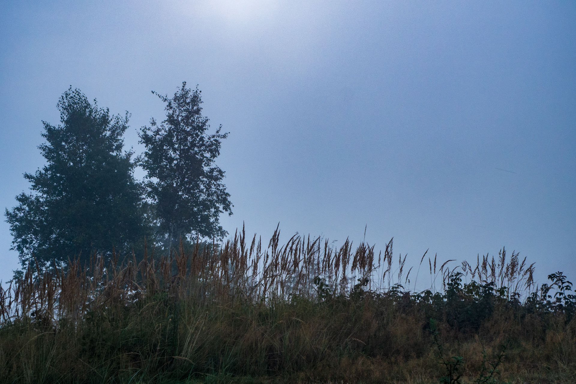 Sľubica z Braniska s nocľahom (Pufo is Eleven) (Branisko a Bachureň)