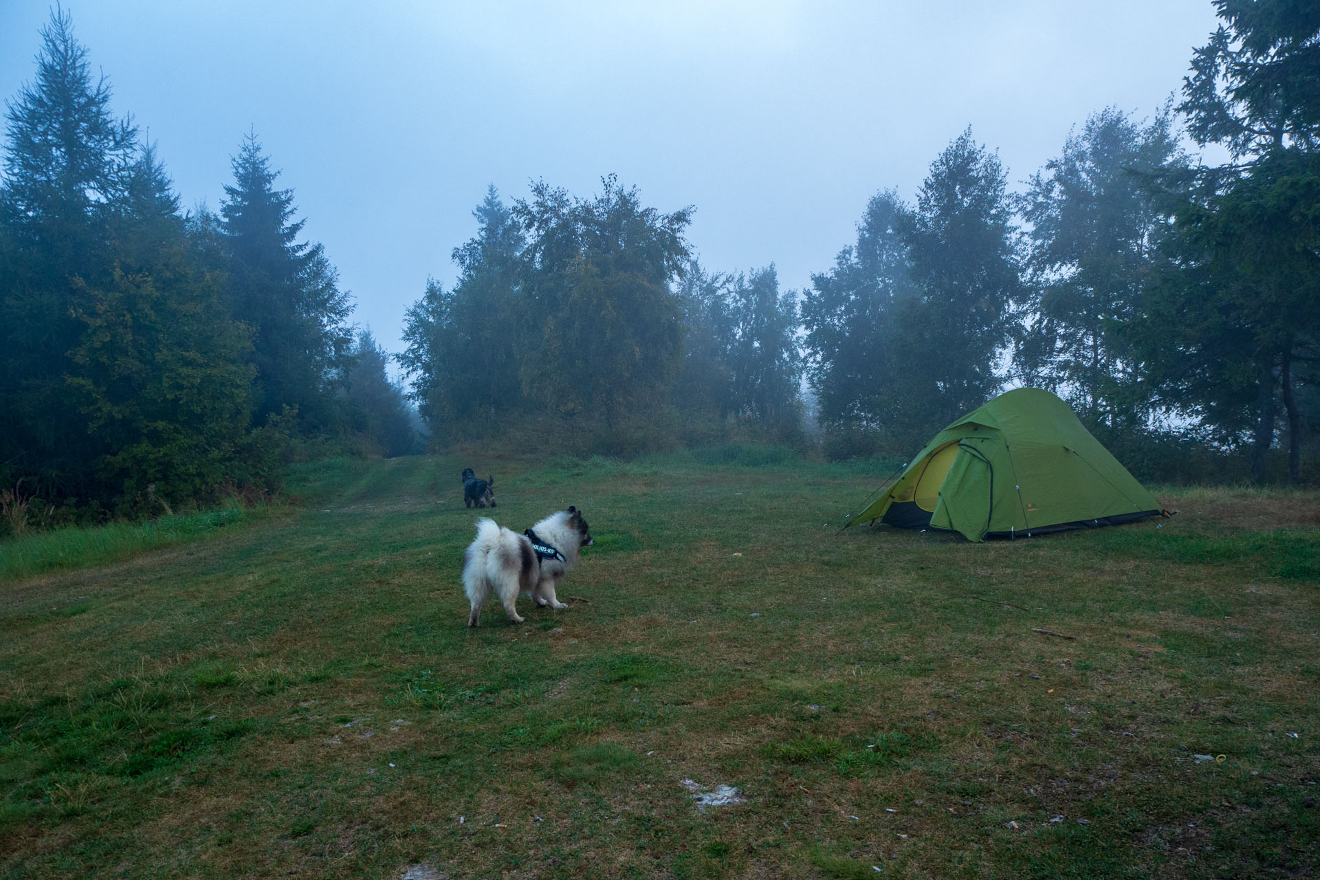 Sľubica z Braniska s nocľahom (Pufo is Eleven) (Branisko a Bachureň)