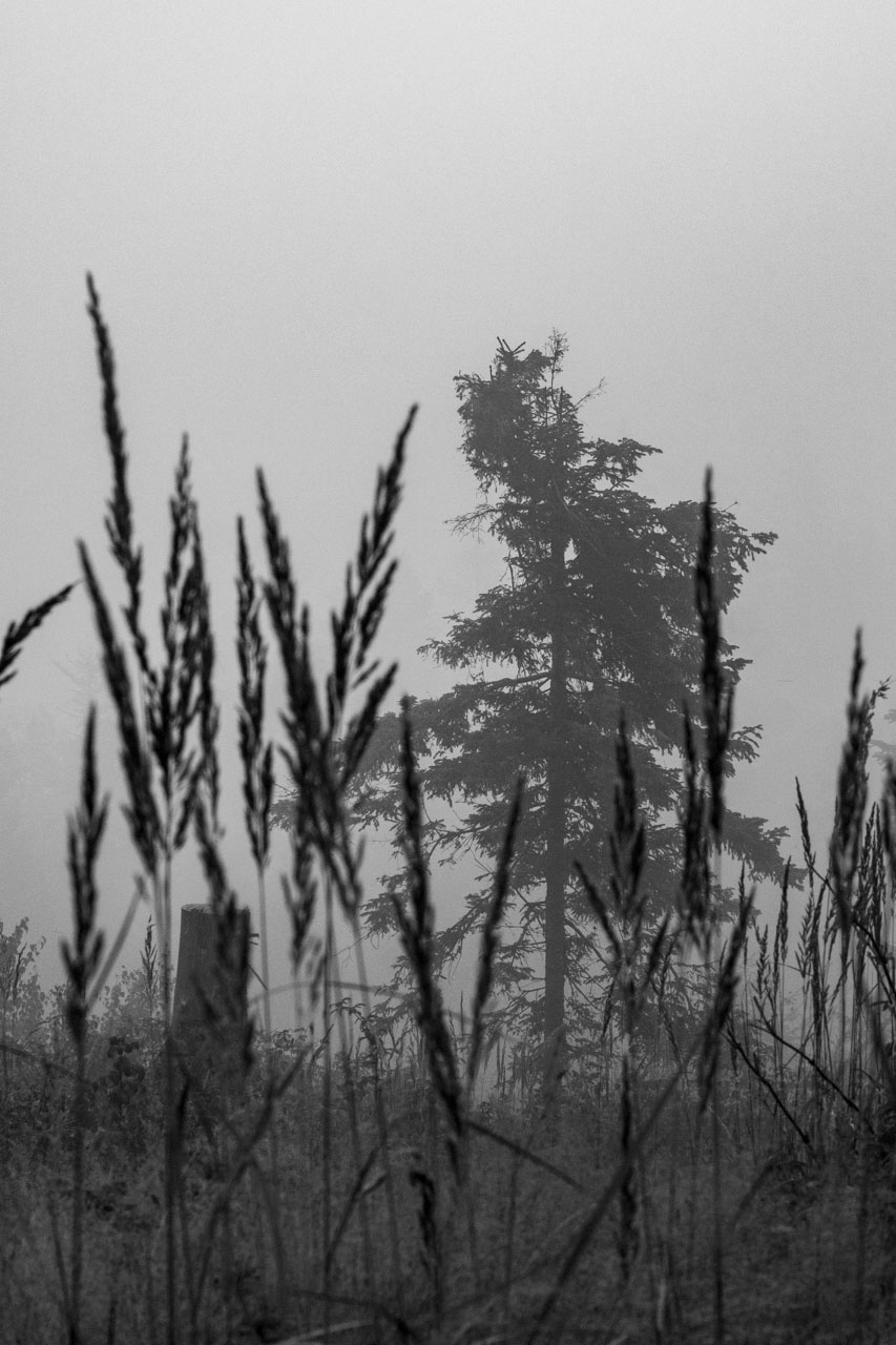 Sľubica z Braniska s nocľahom (Pufo is Eleven) (Branisko a Bachureň)