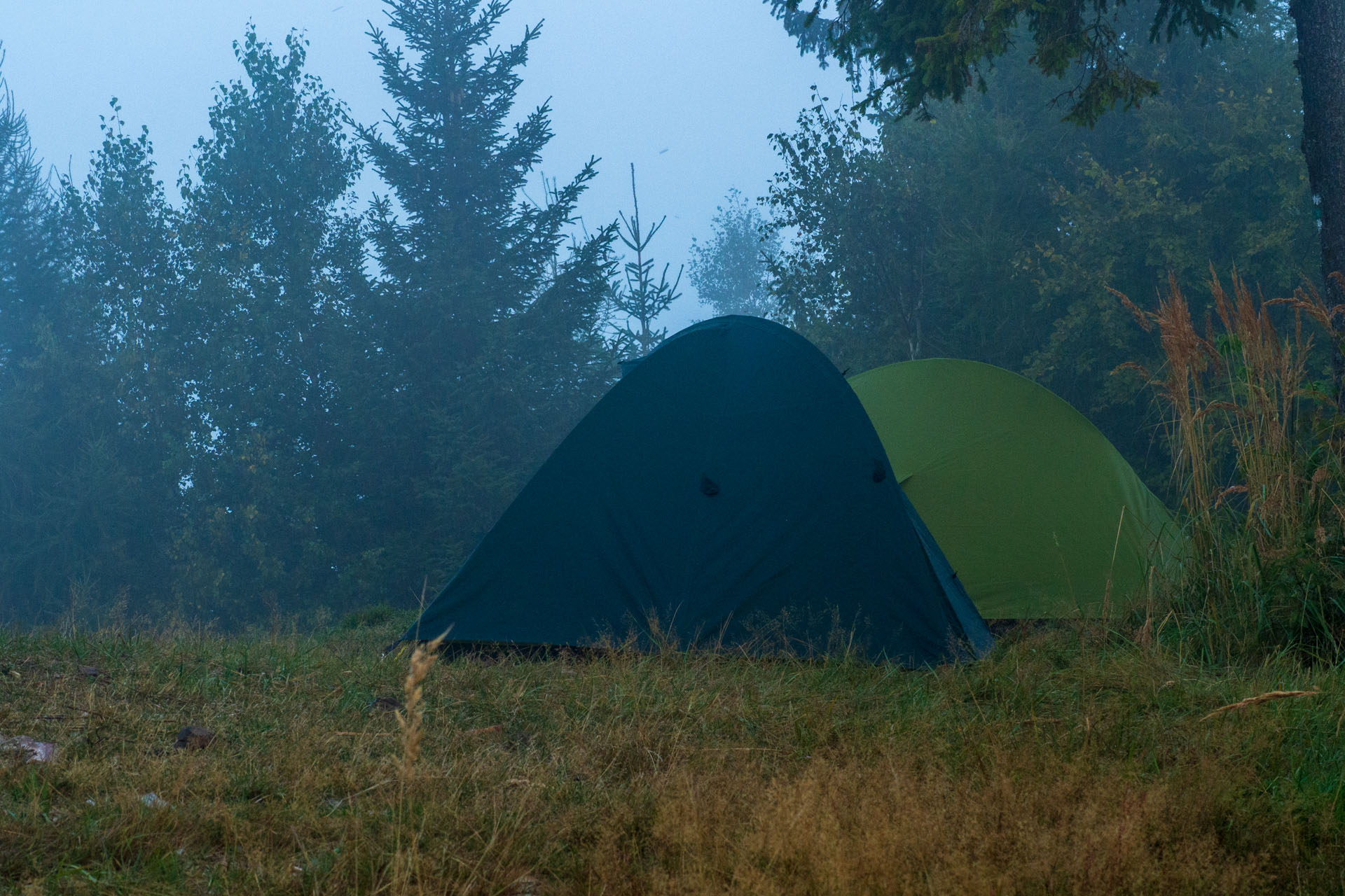 Sľubica z Braniska s nocľahom (Pufo is Eleven) (Branisko a Bachureň)