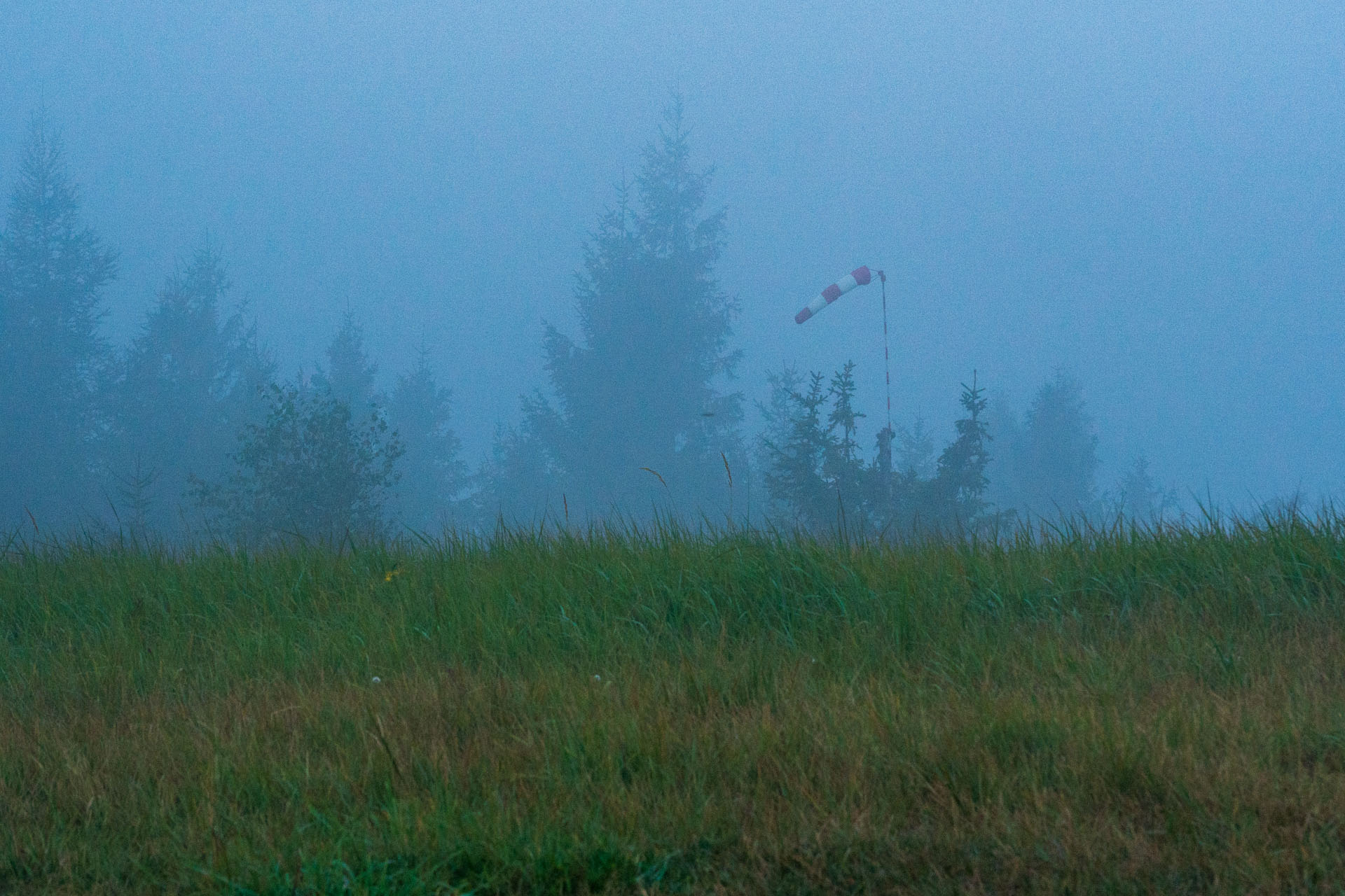 Sľubica z Braniska s nocľahom (Pufo is Eleven) (Branisko a Bachureň)