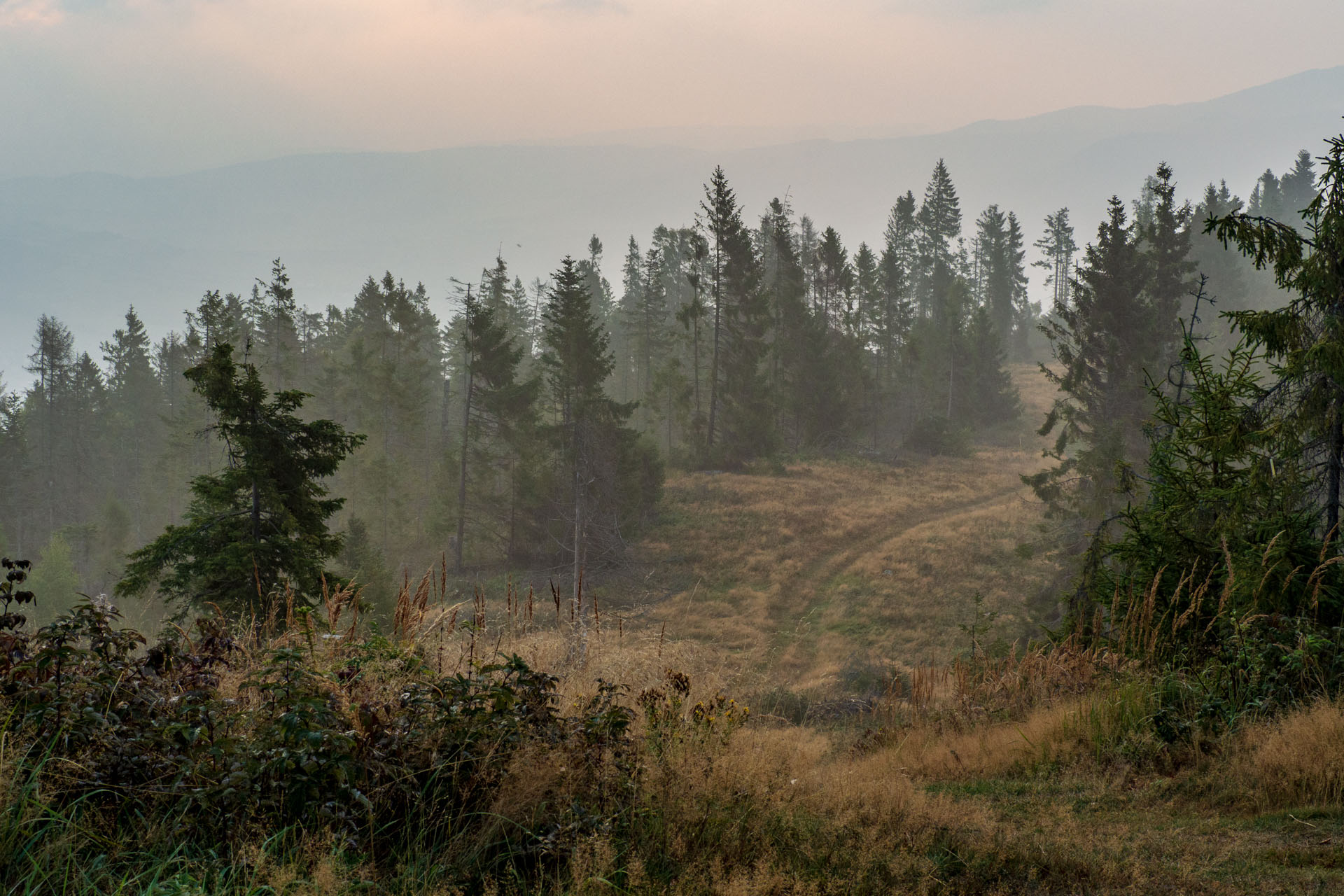 Sľubica z Braniska s nocľahom (Pufo is Eleven) (Branisko a Bachureň)