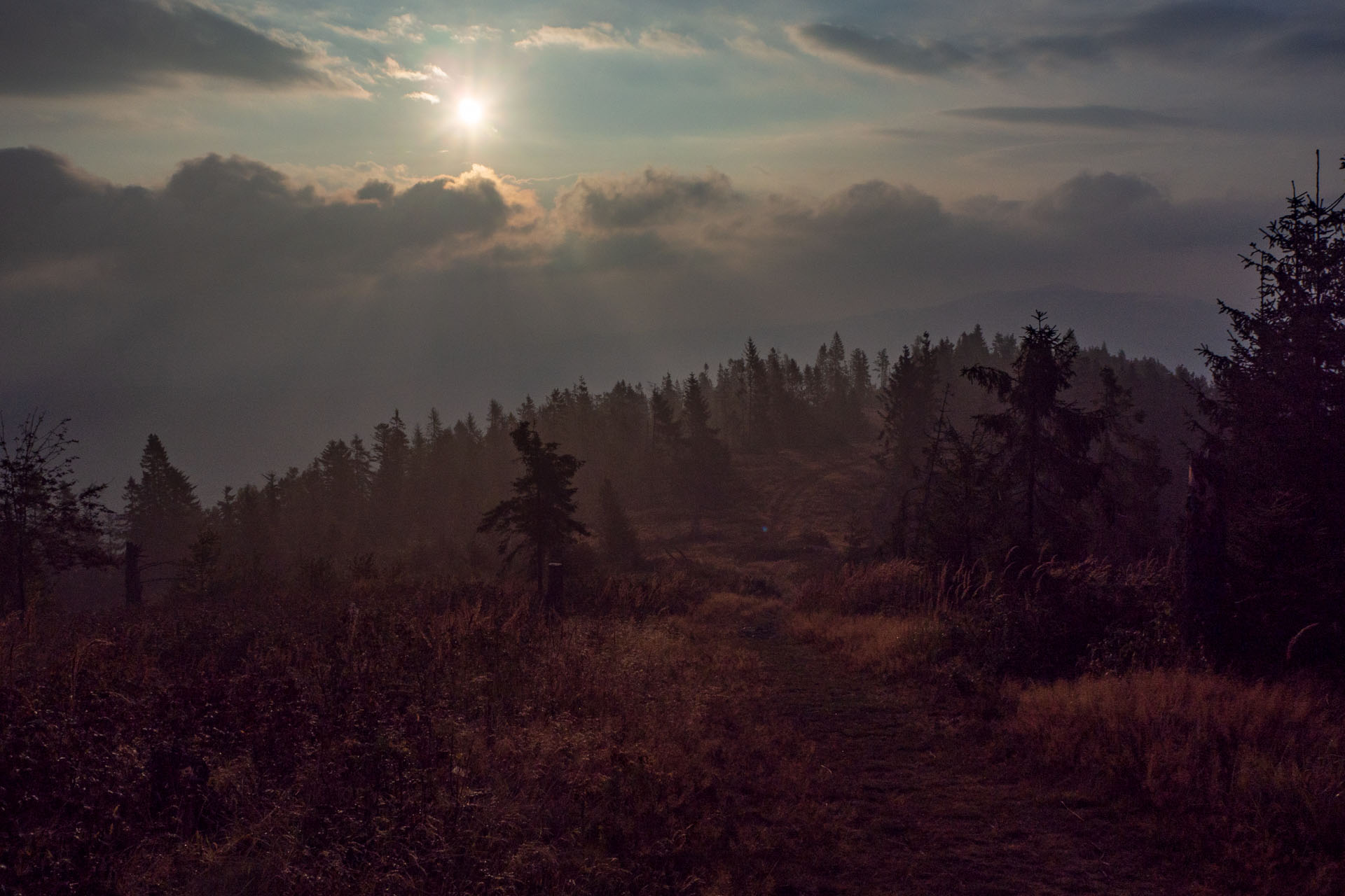 Sľubica z Braniska s nocľahom (Pufo is Eleven) (Branisko a Bachureň)