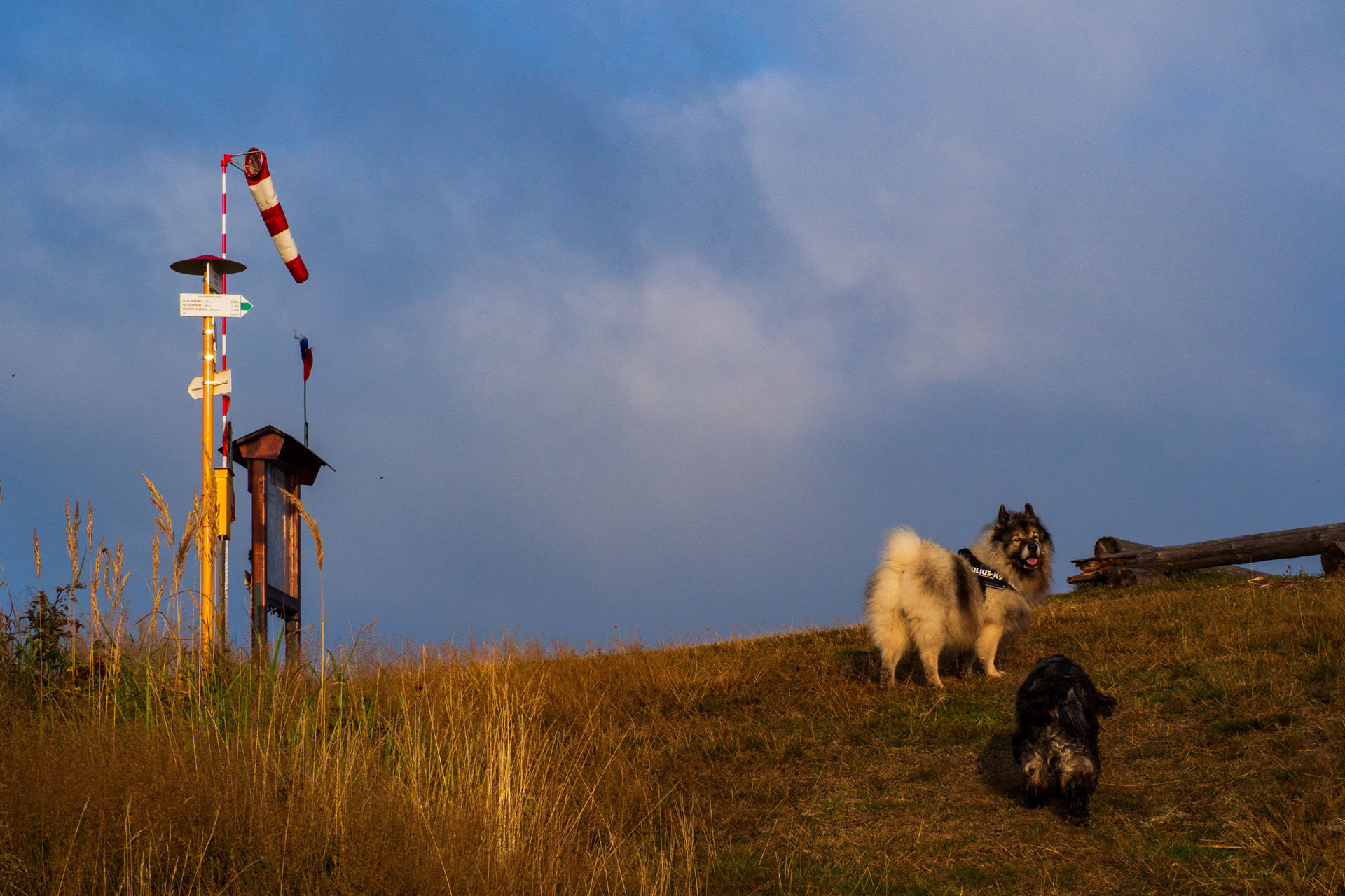 Sľubica z Braniska s nocľahom (Pufo is Eleven) (Branisko a Bachureň)