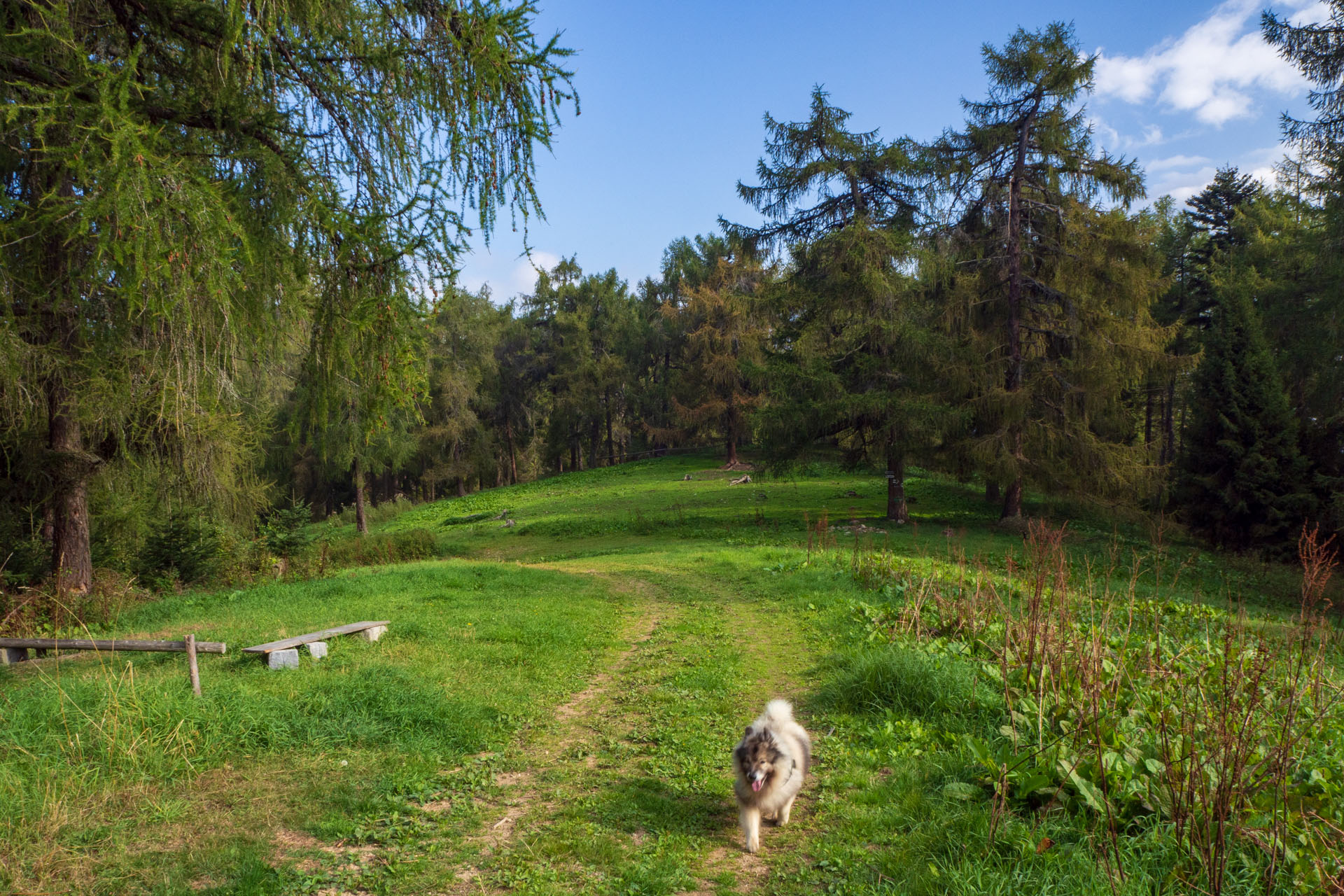 Sľubica z Braniska s nocľahom (Pufo is Eleven) (Branisko a Bachureň)