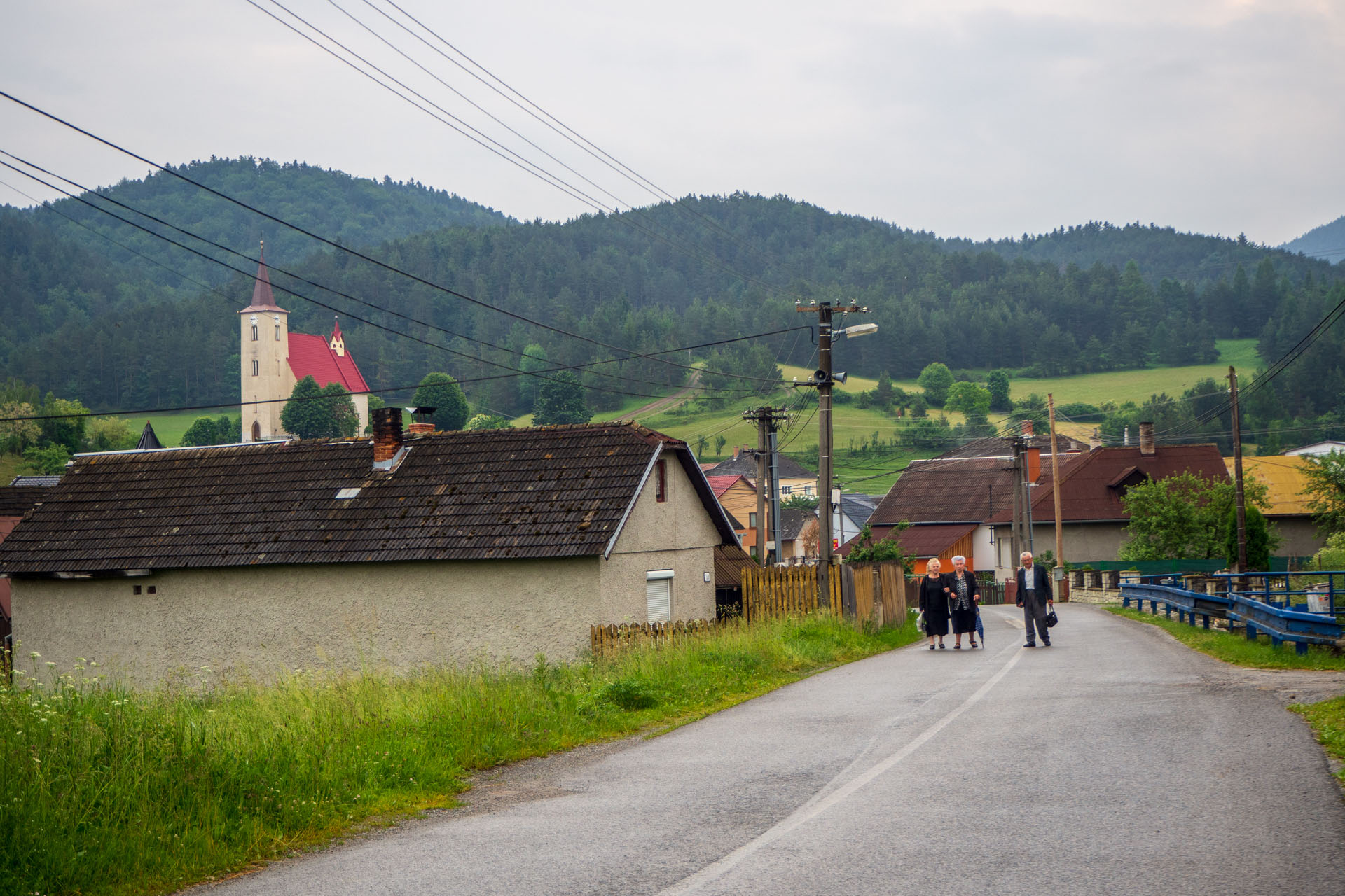 Smrekovica z Vyšného Slavkova (Branisko a Bachureň)