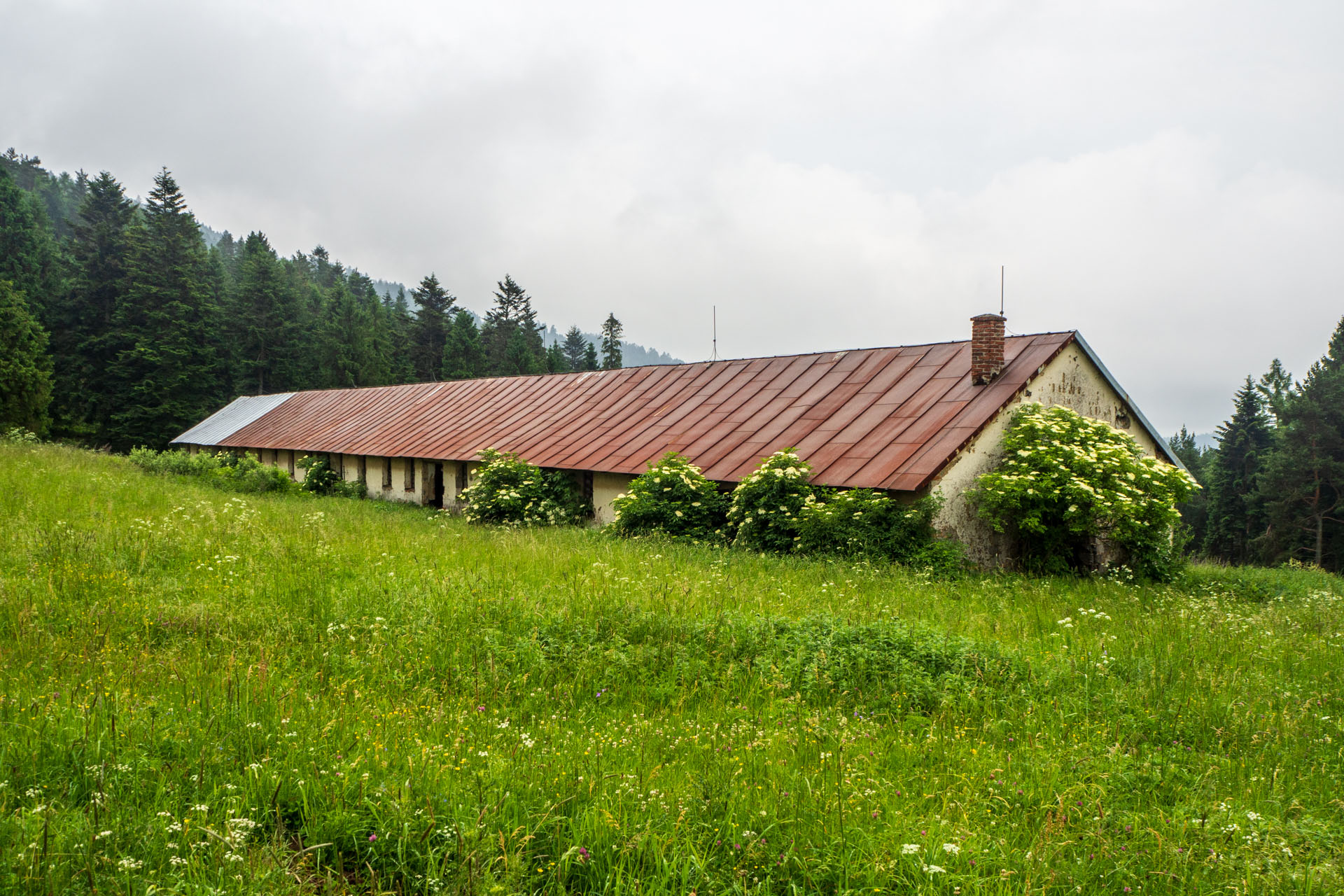 Smrekovica z Vyšného Slavkova (Branisko a Bachureň)