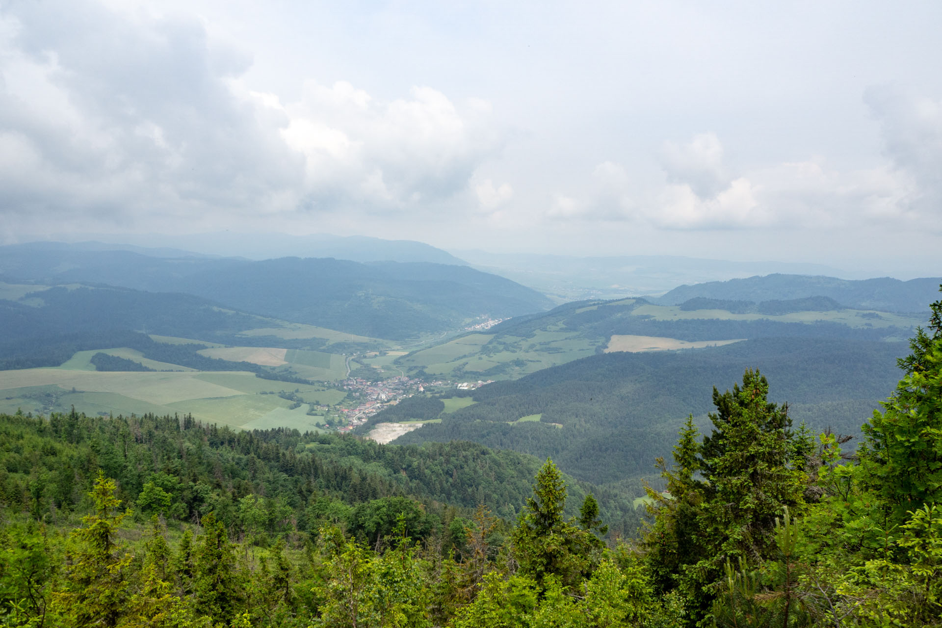 Smrekovica z Vyšného Slavkova (Branisko a Bachureň)