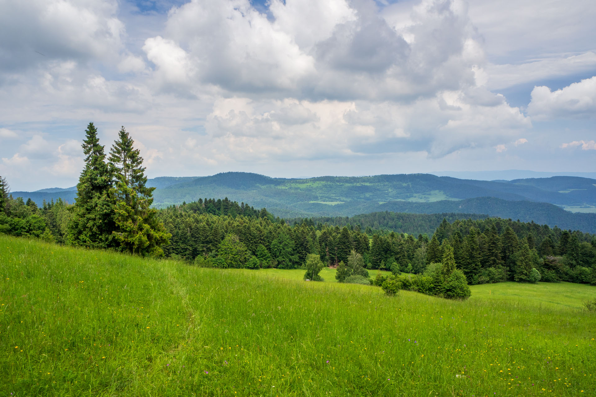 Smrekovica z Vyšného Slavkova (Branisko a Bachureň)