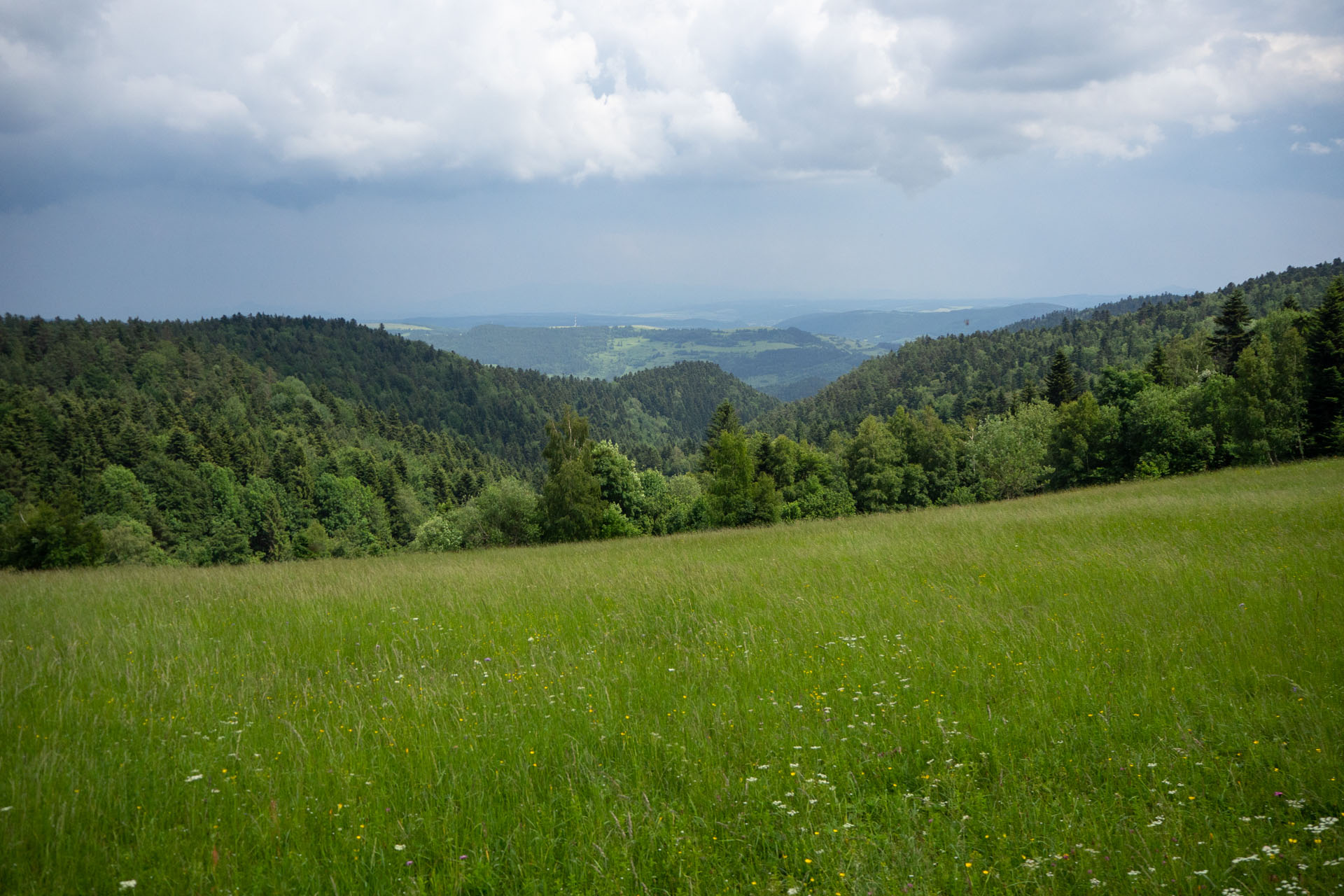 Smrekovica z Vyšného Slavkova (Branisko a Bachureň)