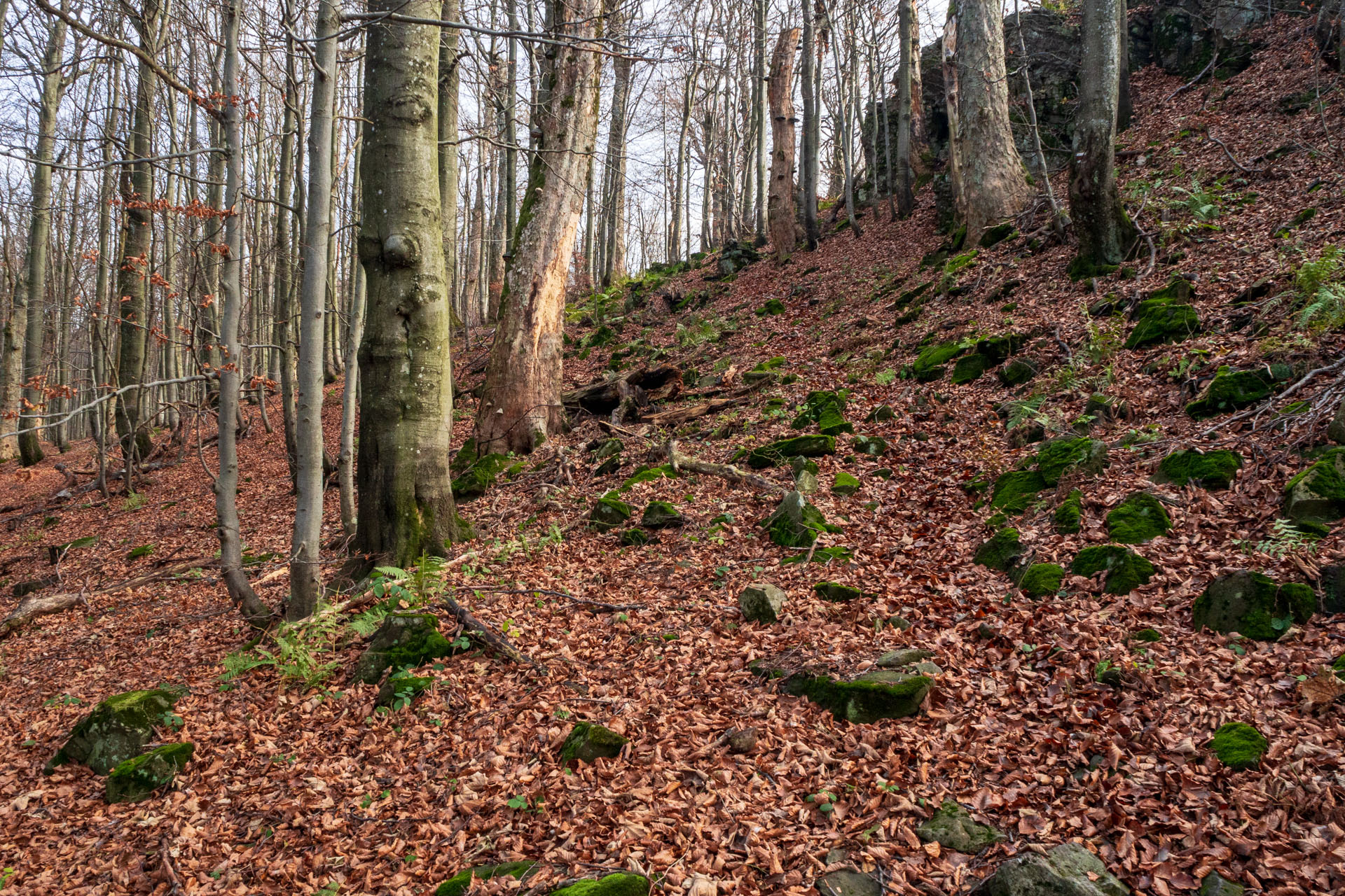 Sninský kameň z Krivca (Vihorlatské vrchy)