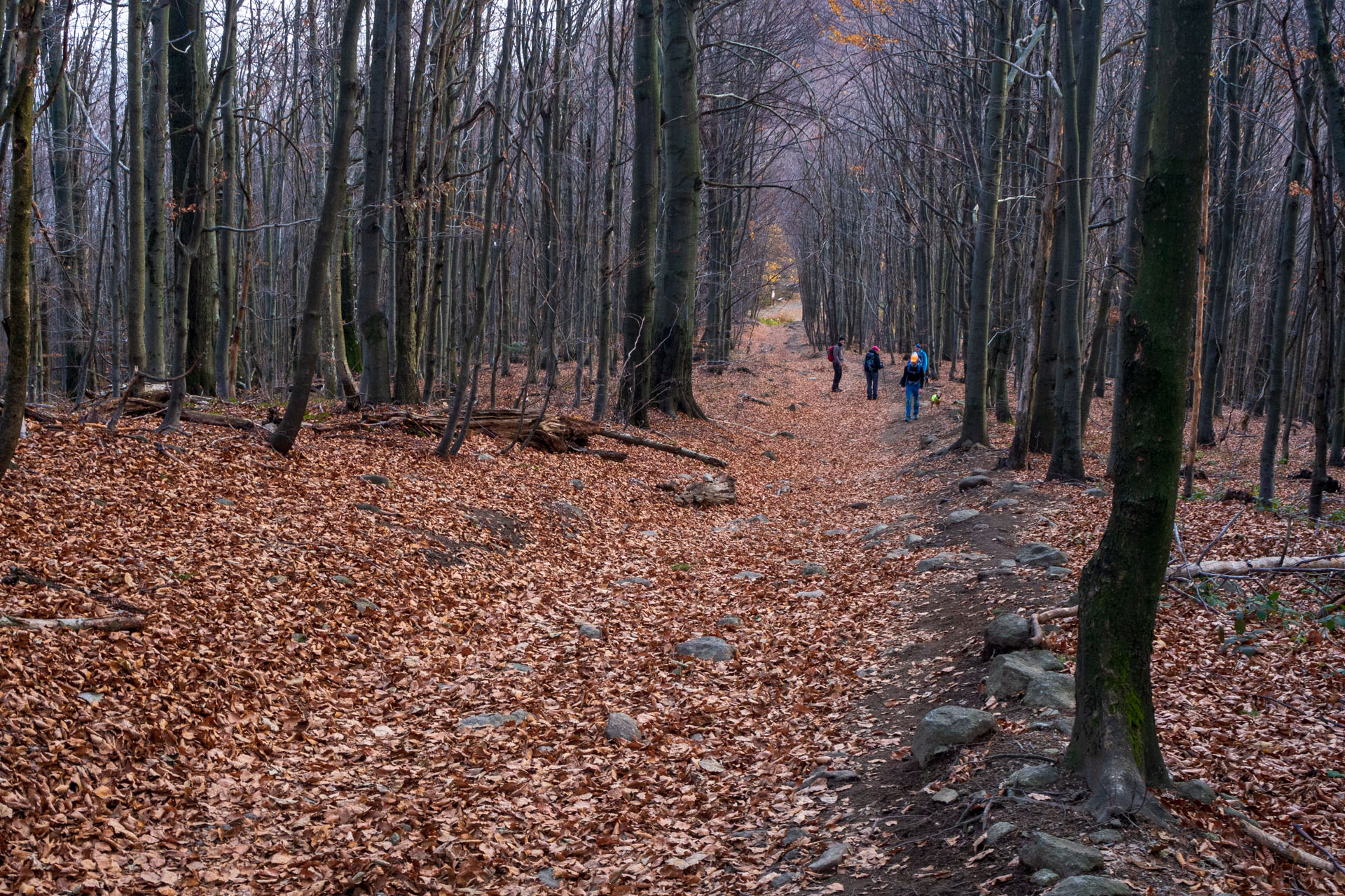 Sninský kameň z Krivca (Vihorlatské vrchy)