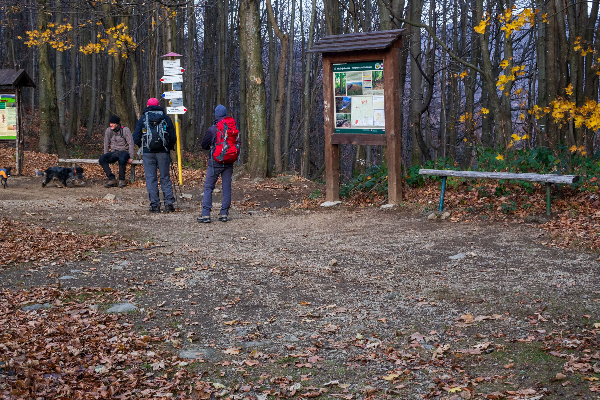 Sninský kameň z Krivca (Vihorlatské vrchy)