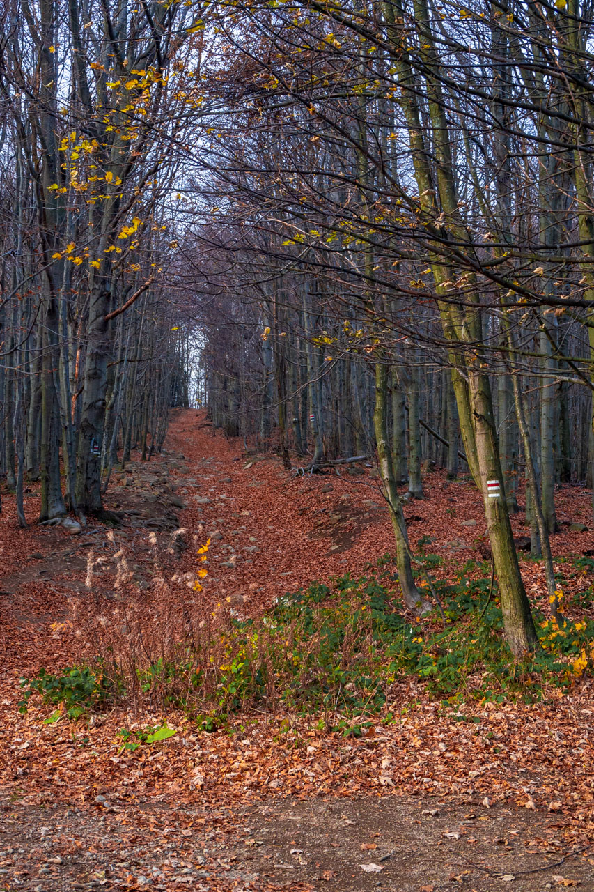 Sninský kameň z Krivca (Vihorlatské vrchy)