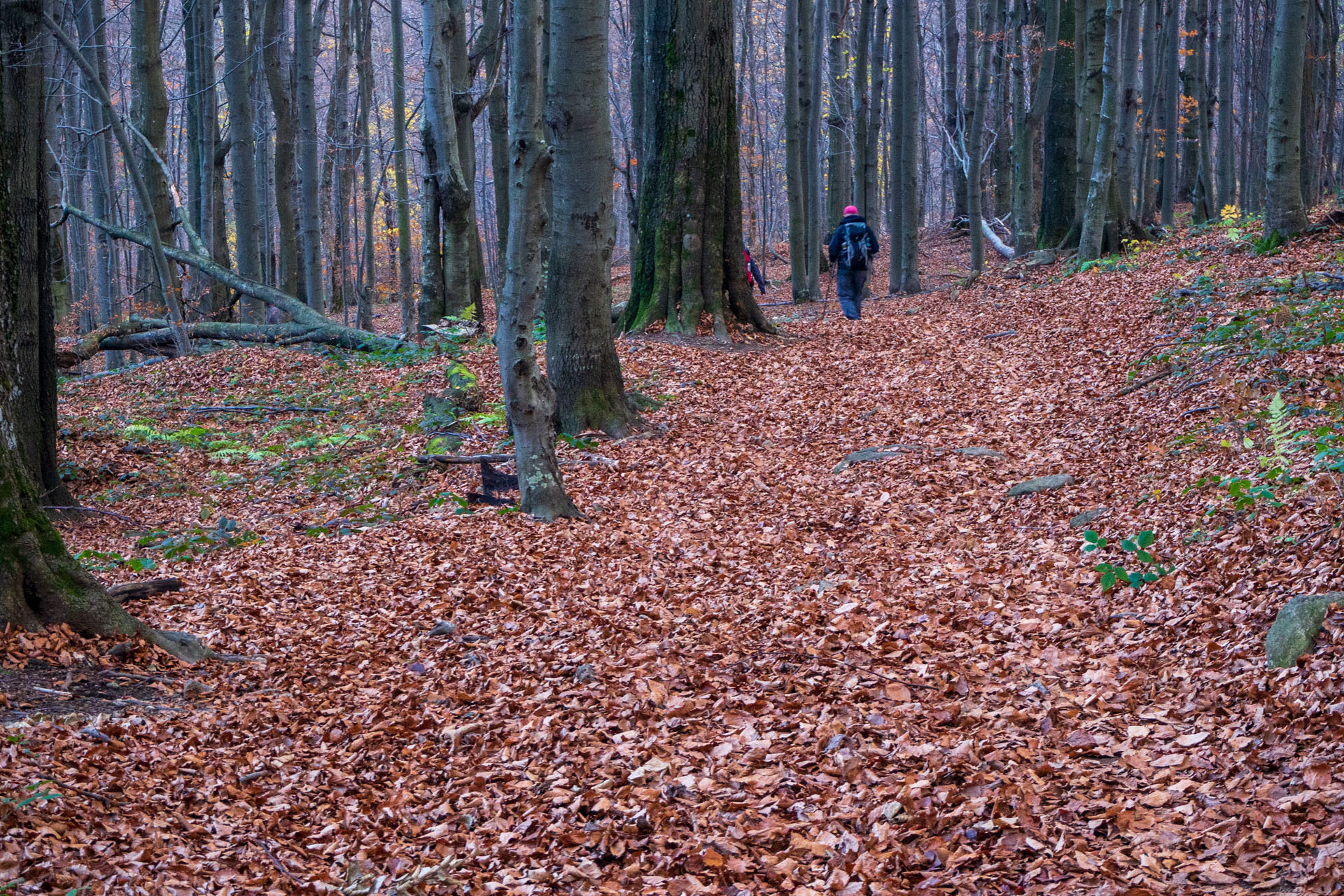 Sninský kameň z Krivca (Vihorlatské vrchy)