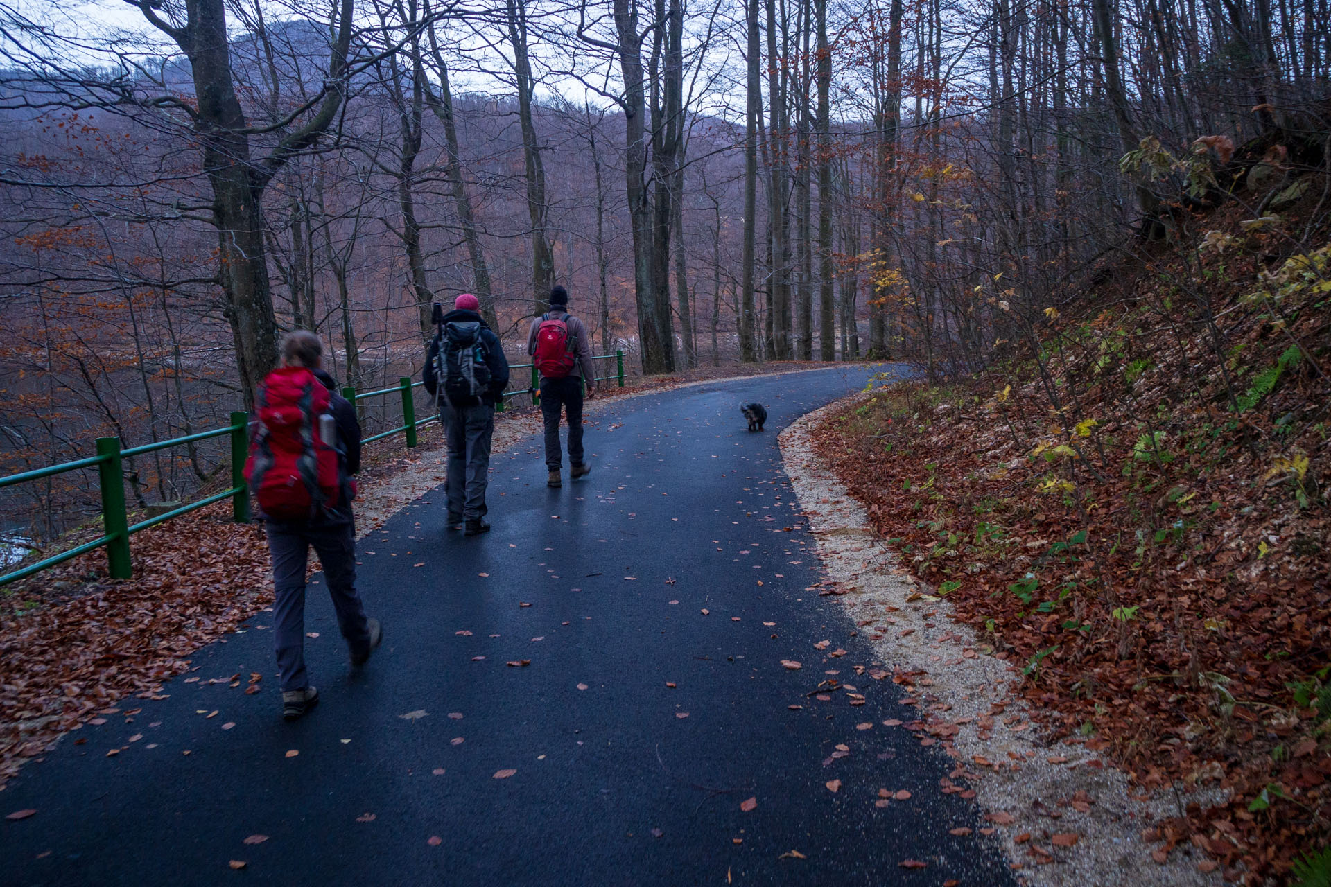 Sninský kameň z Krivca (Vihorlatské vrchy)