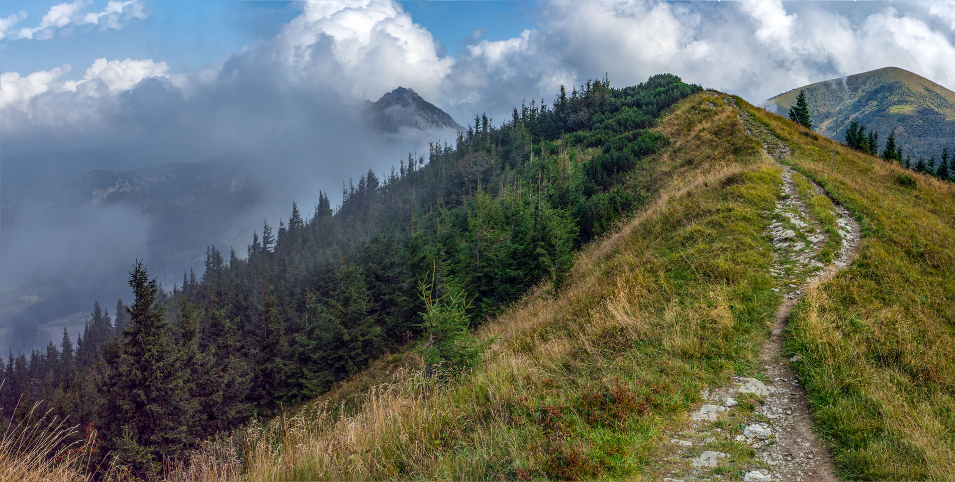 Stoh zo Snilovského sedla (Malá Fatra)