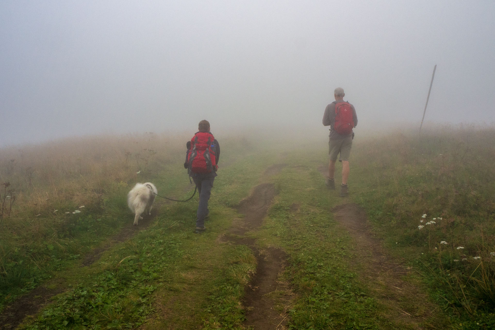 Stoh zo Snilovského sedla (Malá Fatra)