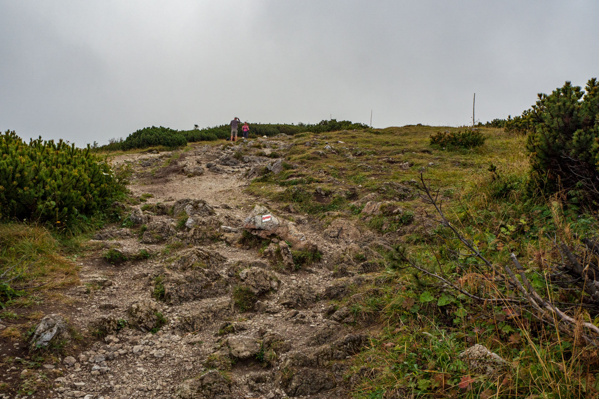 Stoh zo Snilovského sedla (Malá Fatra)