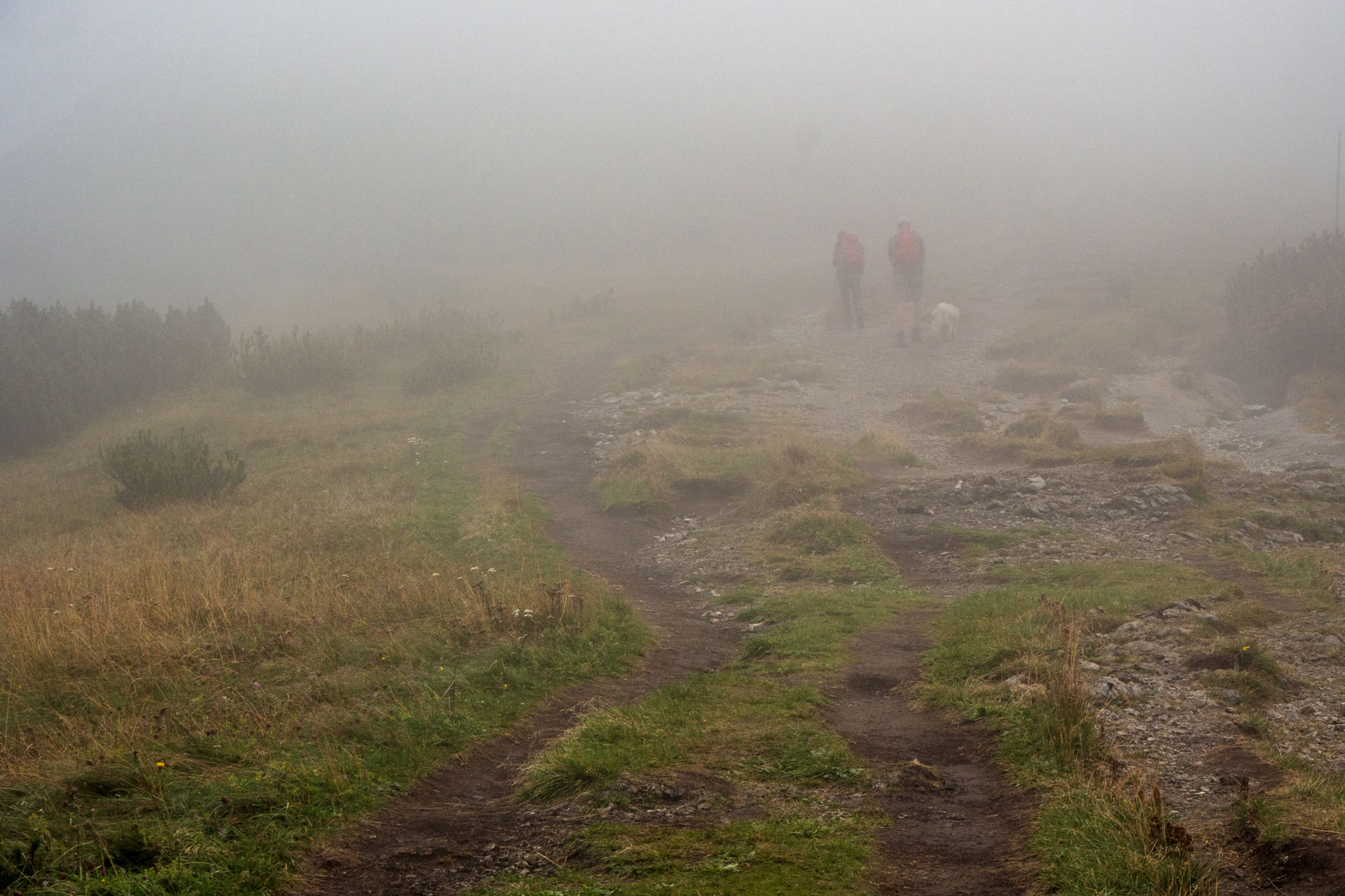 Stoh zo Snilovského sedla (Malá Fatra)