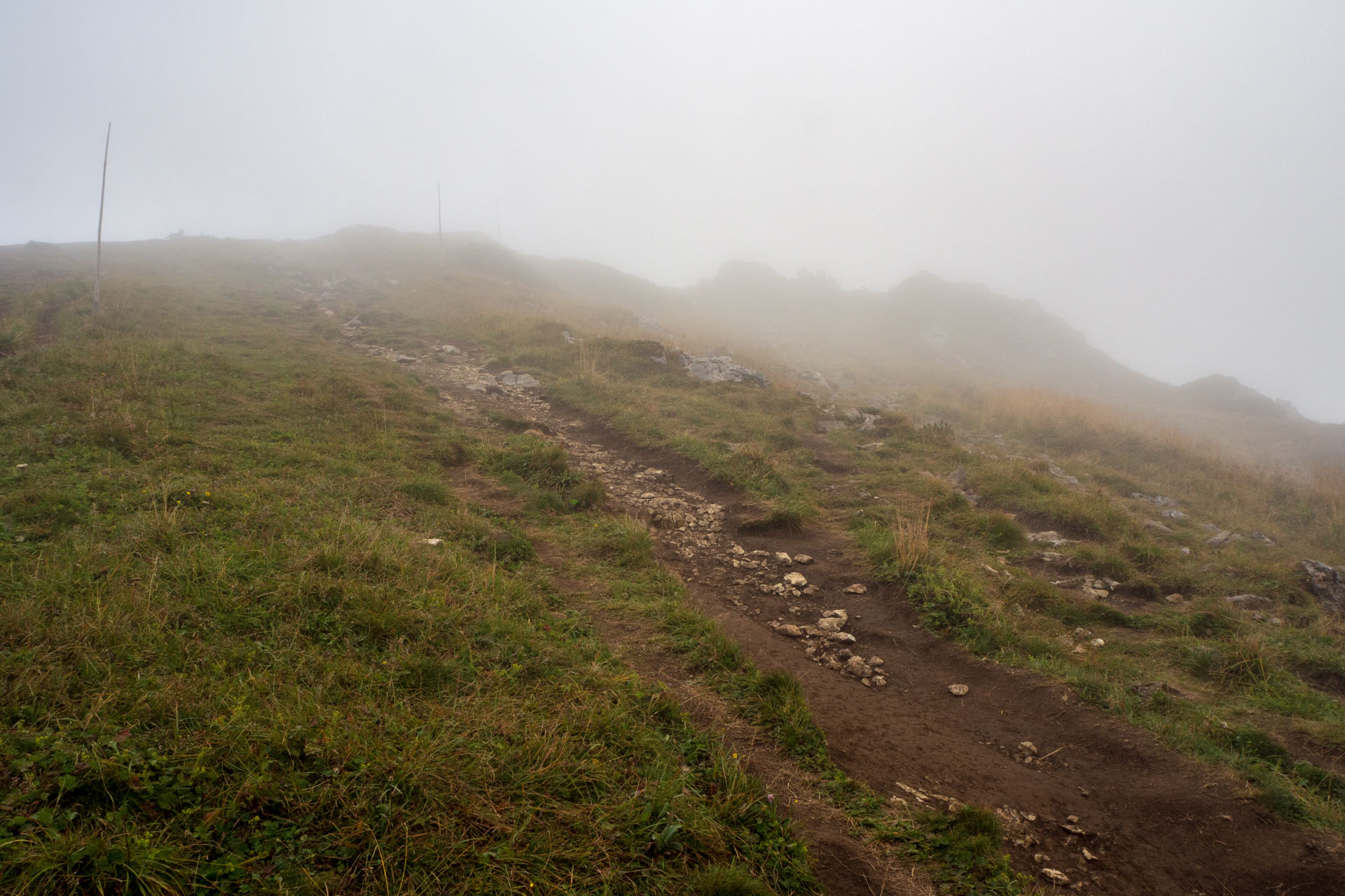 Stoh zo Snilovského sedla (Malá Fatra)