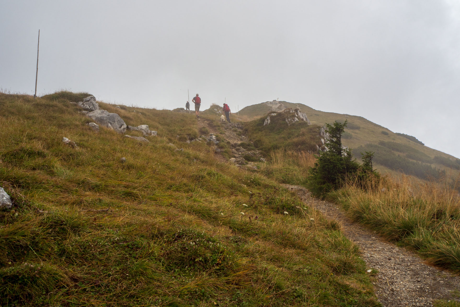 Stoh zo Snilovského sedla (Malá Fatra)