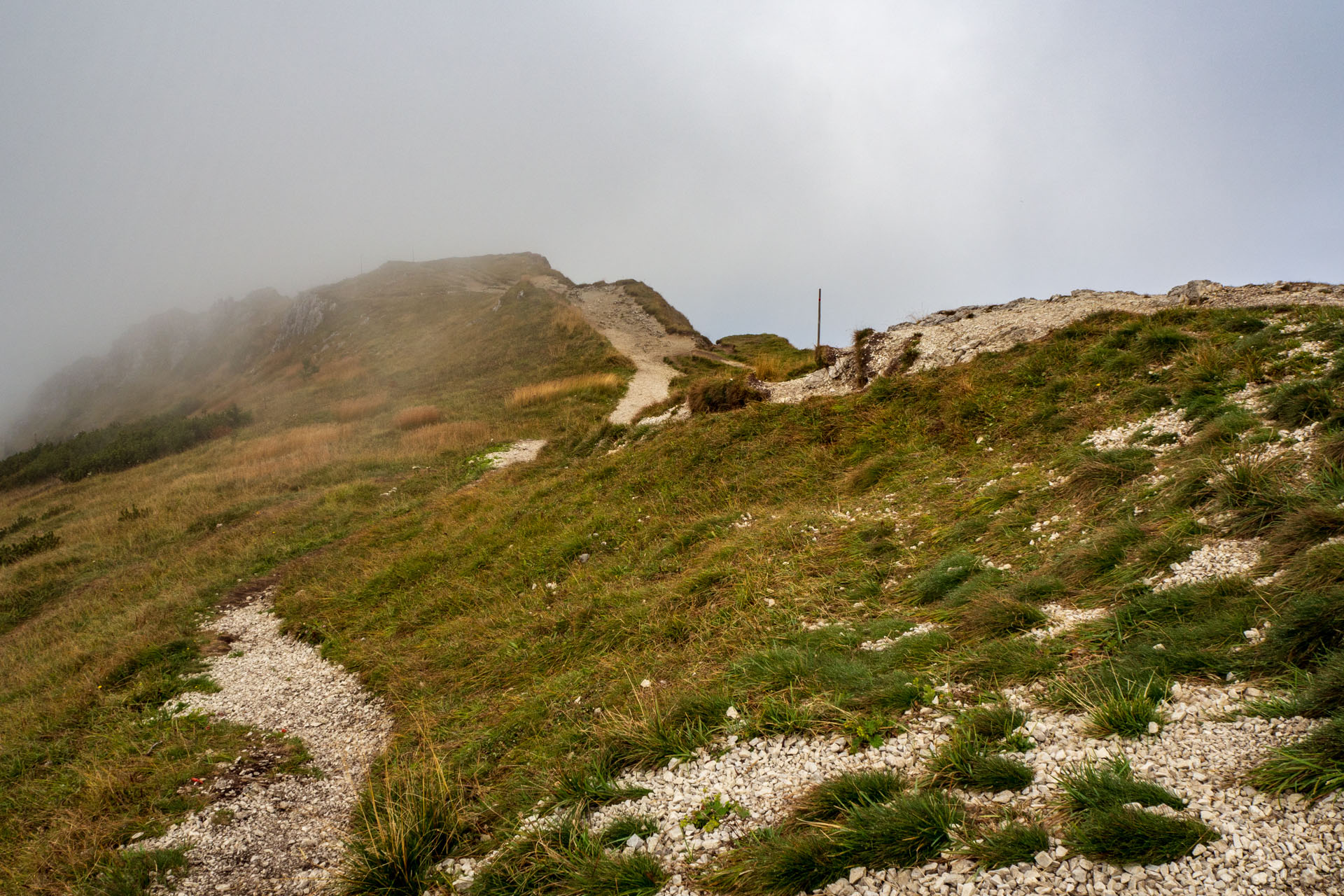 Stoh zo Snilovského sedla (Malá Fatra)