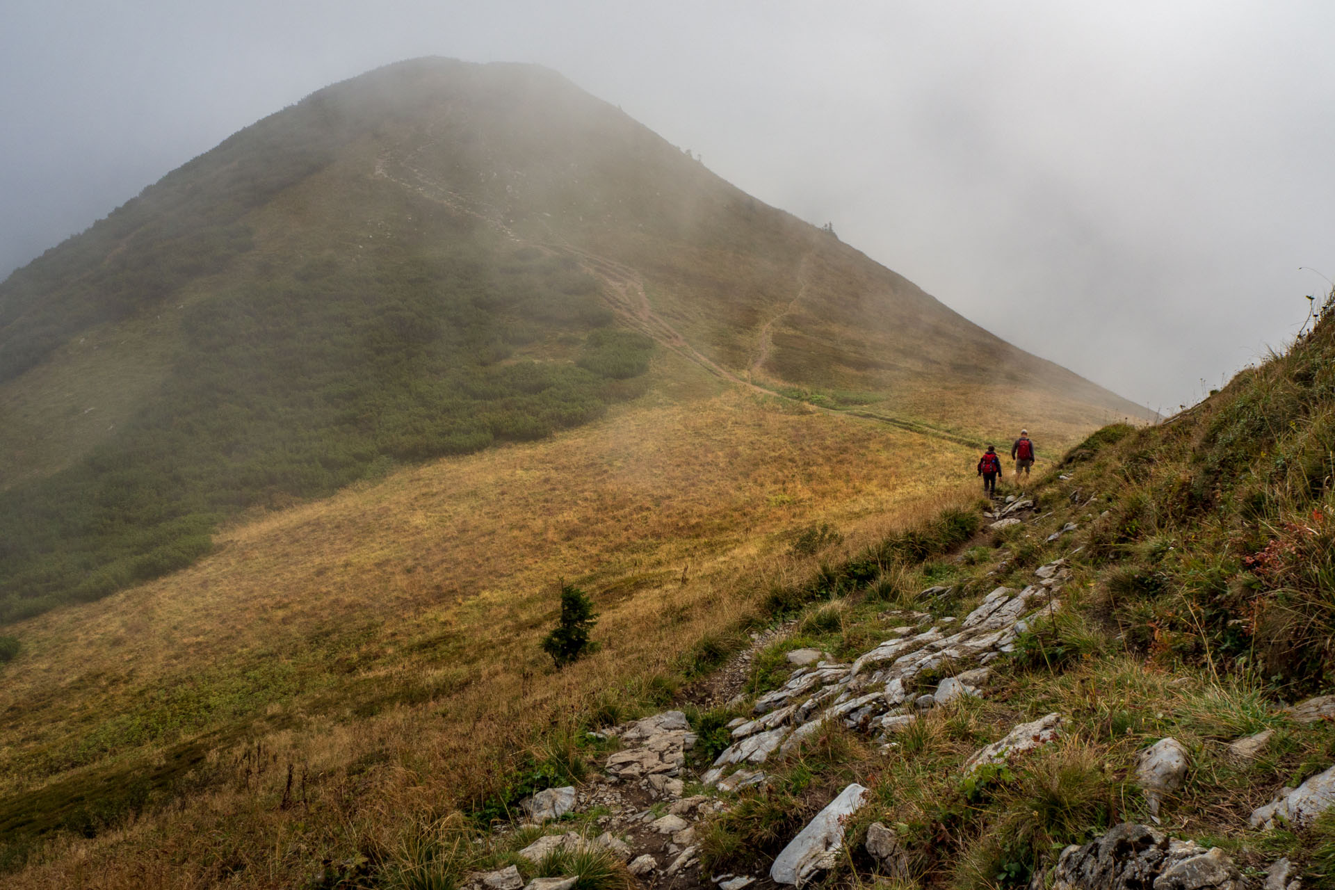 Stoh zo Snilovského sedla (Malá Fatra)