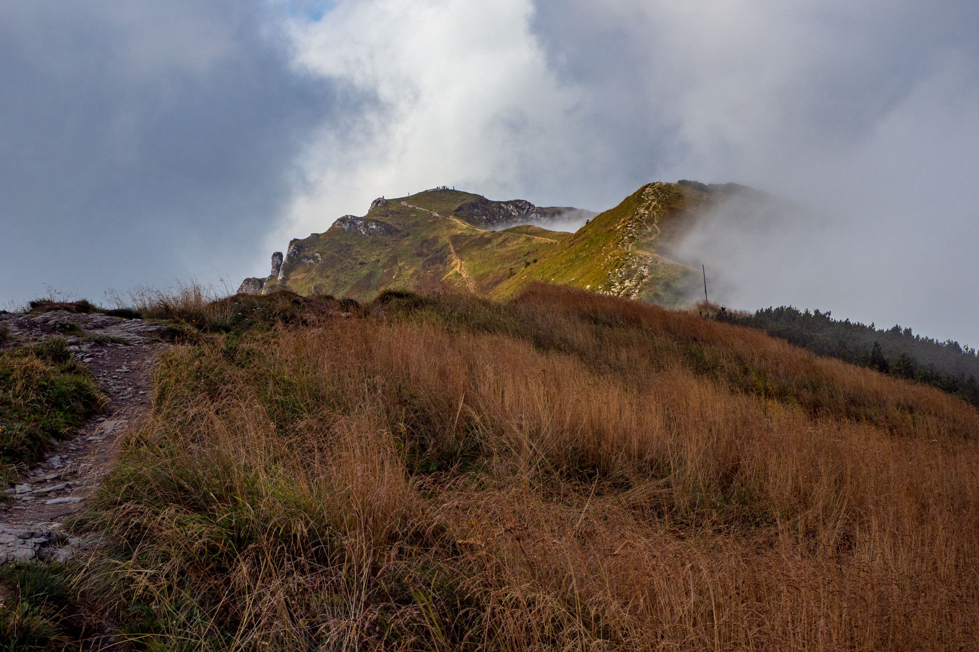 Stoh zo Snilovského sedla (Malá Fatra)