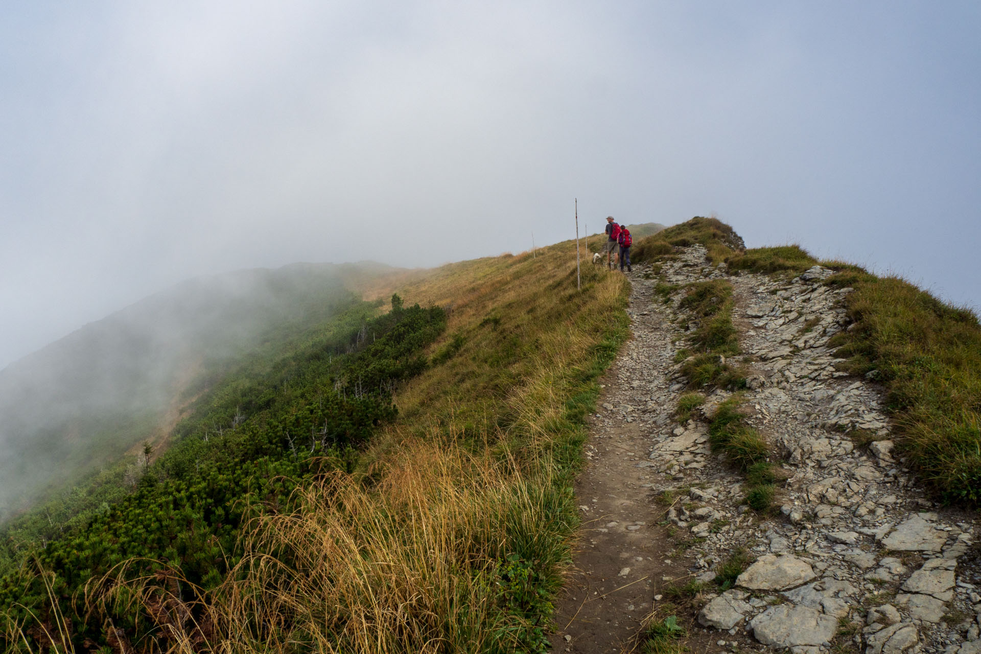 Stoh zo Snilovského sedla (Malá Fatra)